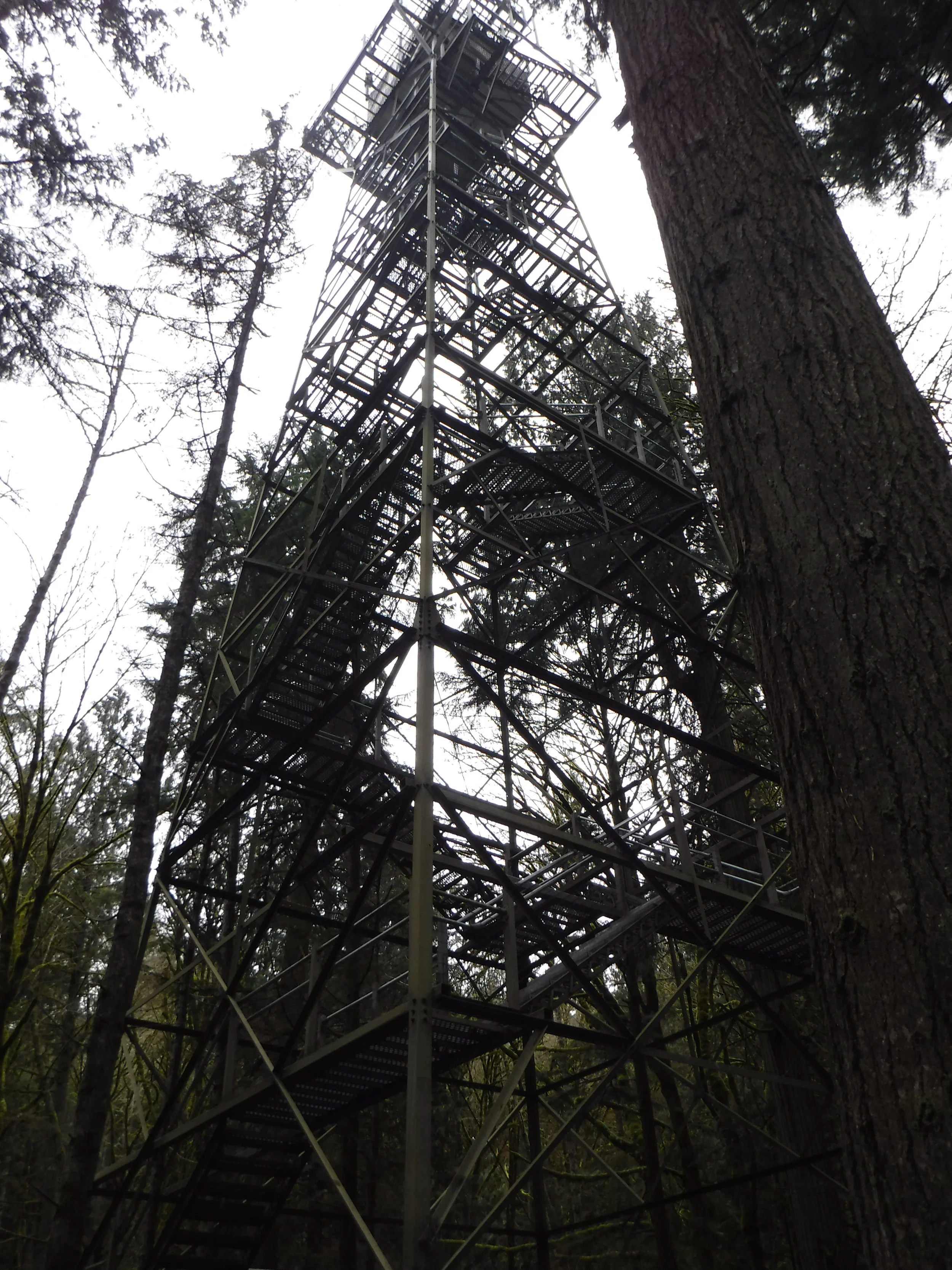 200 foot canopy tower.