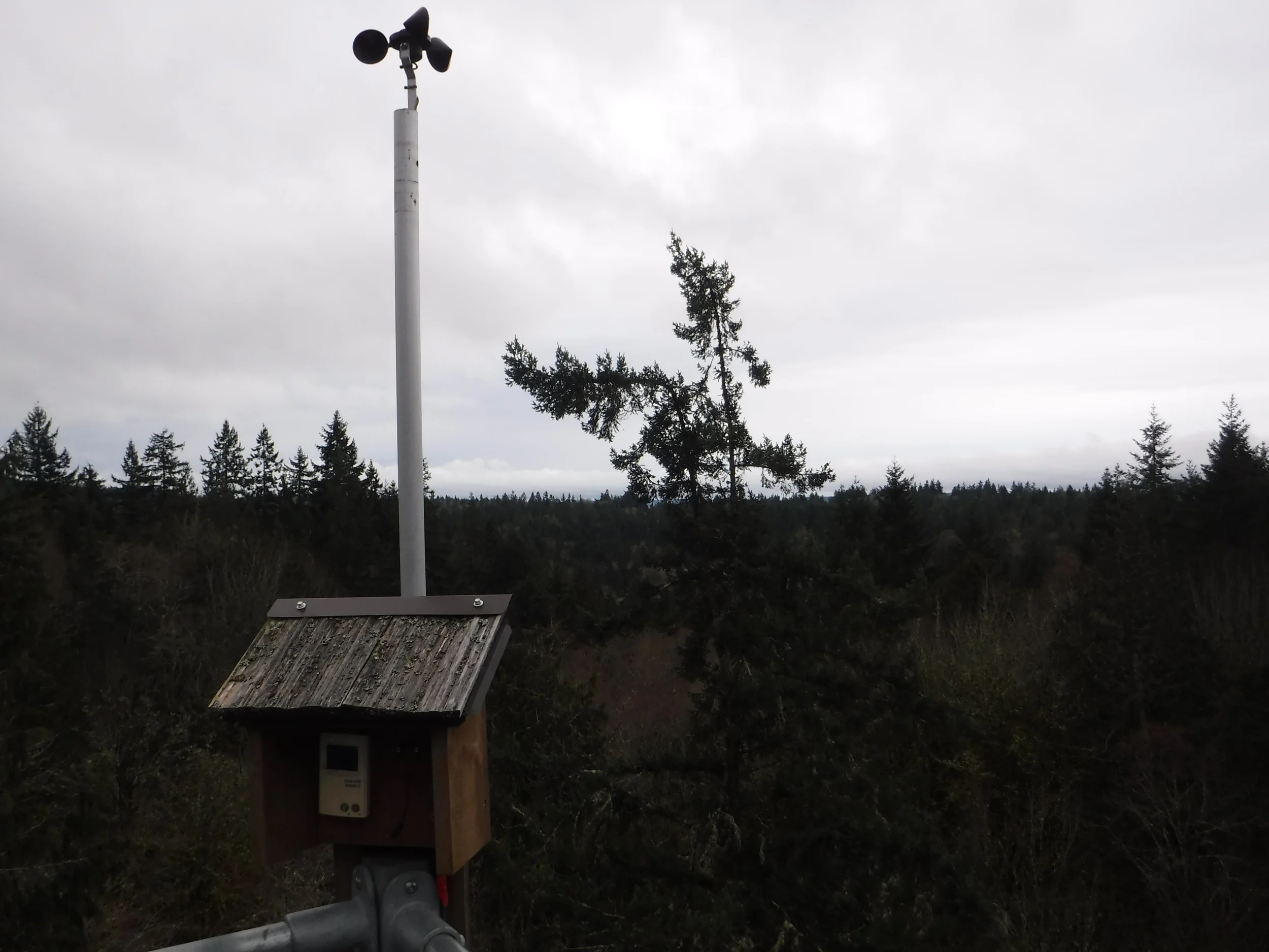 View from the tower (out)