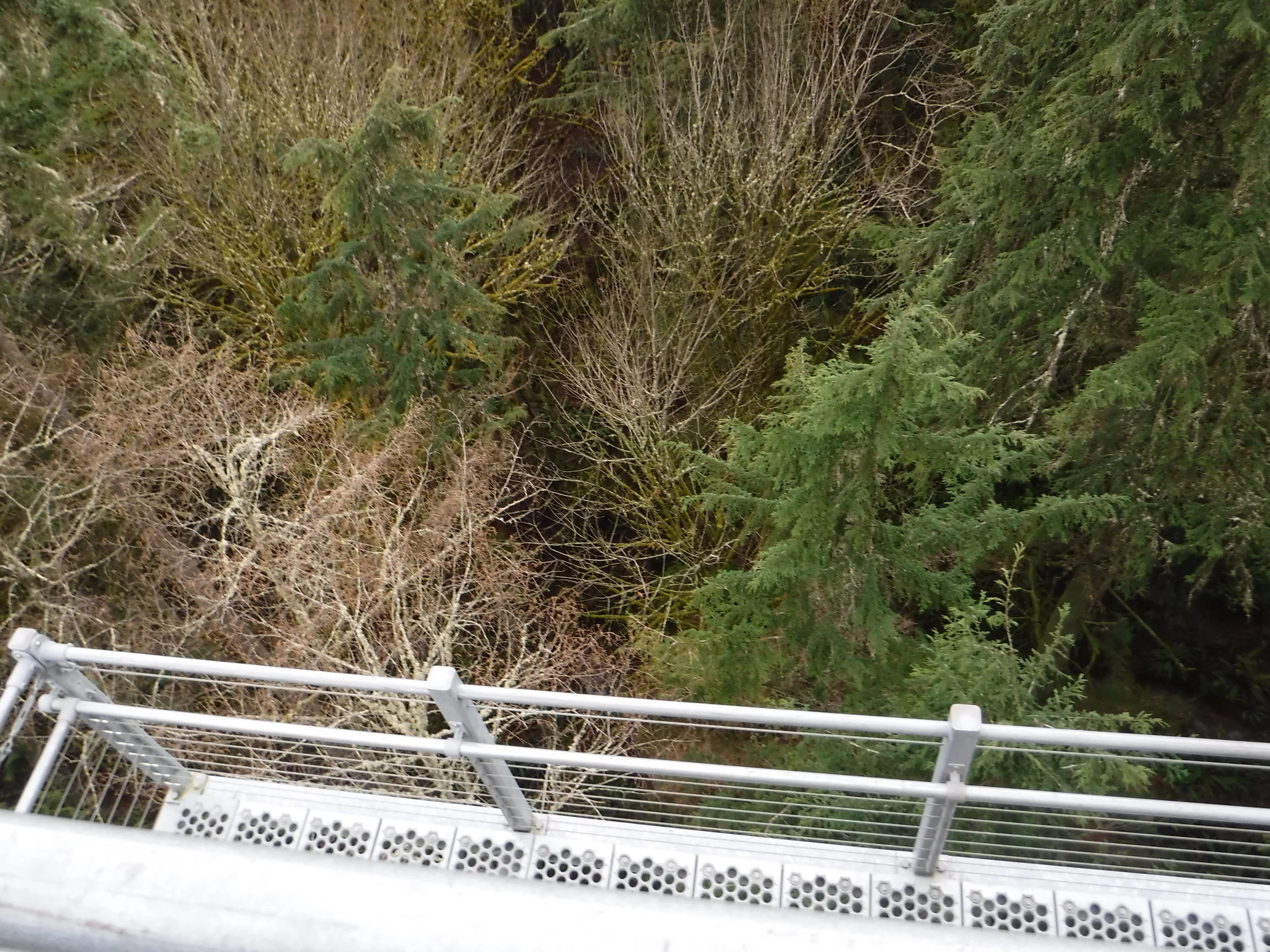 View from the tower (down).
