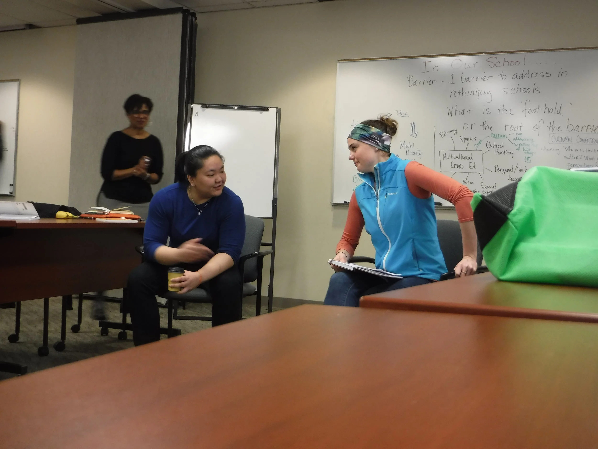Discussion in the UEE class on “barriers in our schools” with Co-director of the program Sue Byers.
