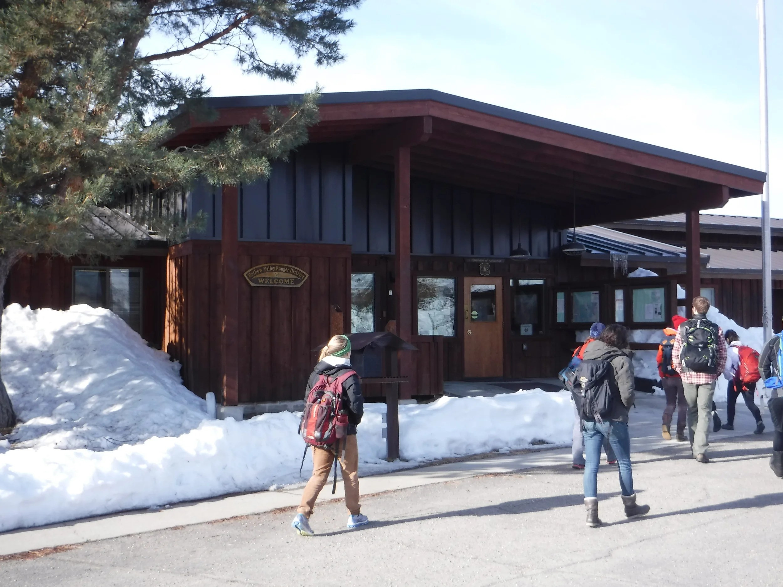 Stopping at the Methow Ranger District to learn about Wolverines.