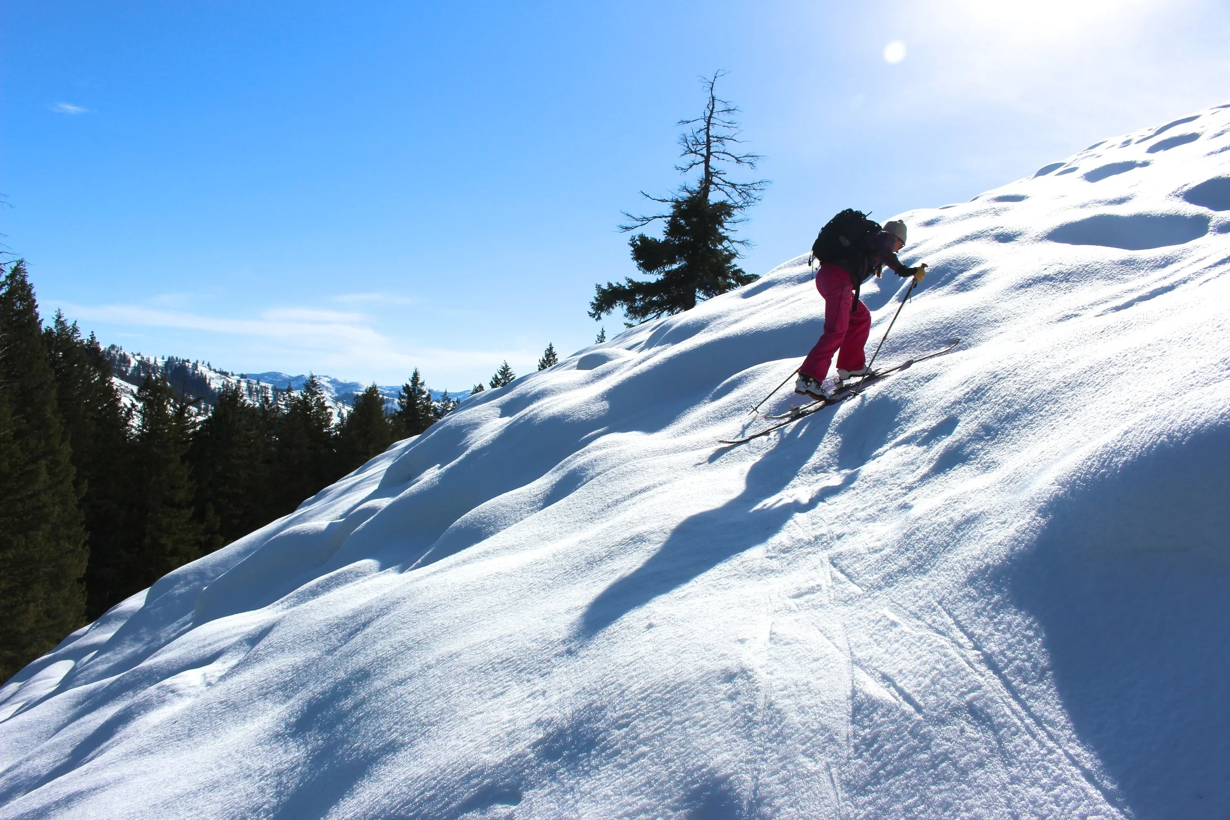 Annah Young climbing a slope that wolverines would run up. Photo courtesy of Aly Gourd.