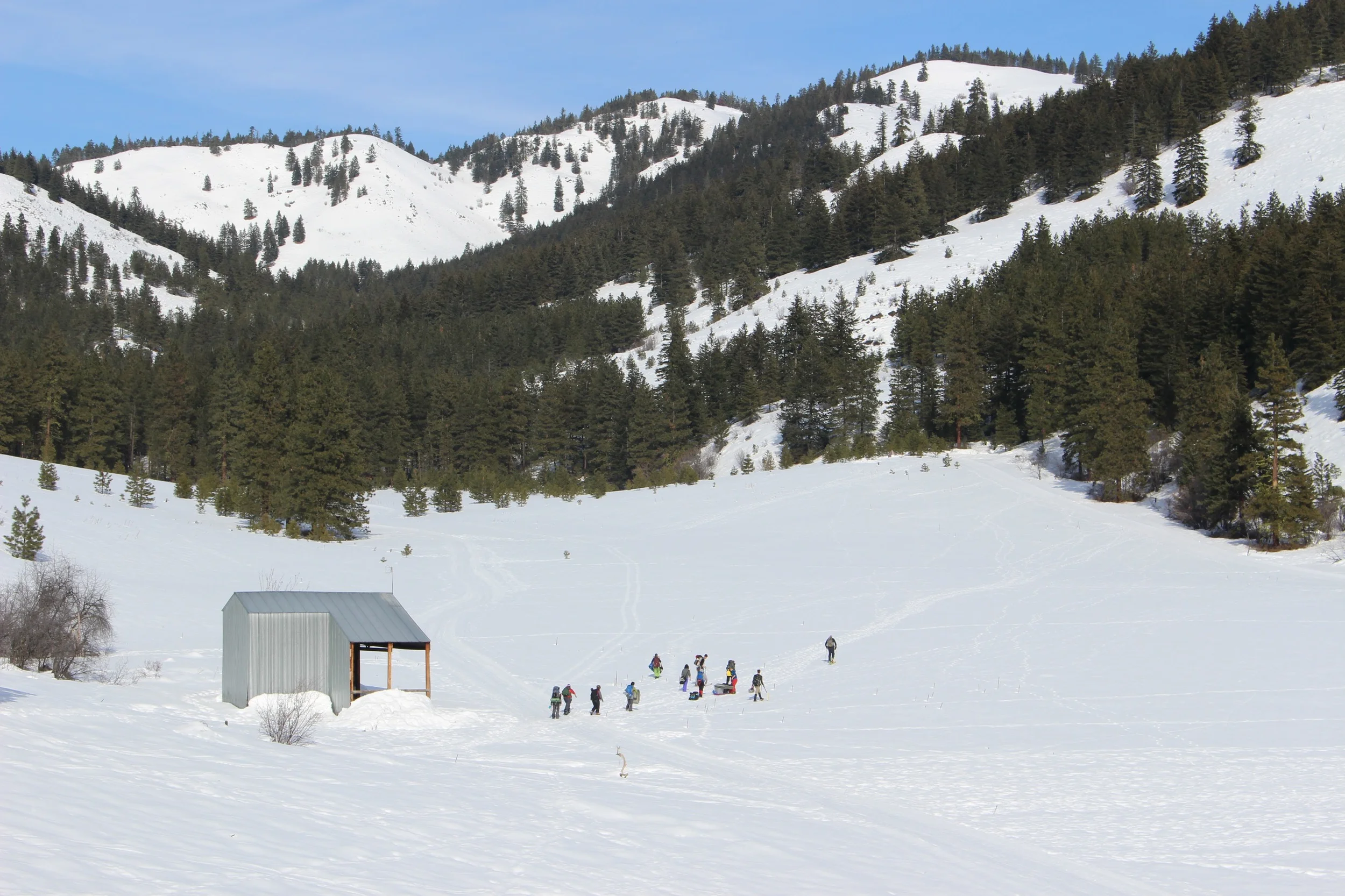 200 yard trek to snow shelters. Photo courtesy of Aly Gourd.