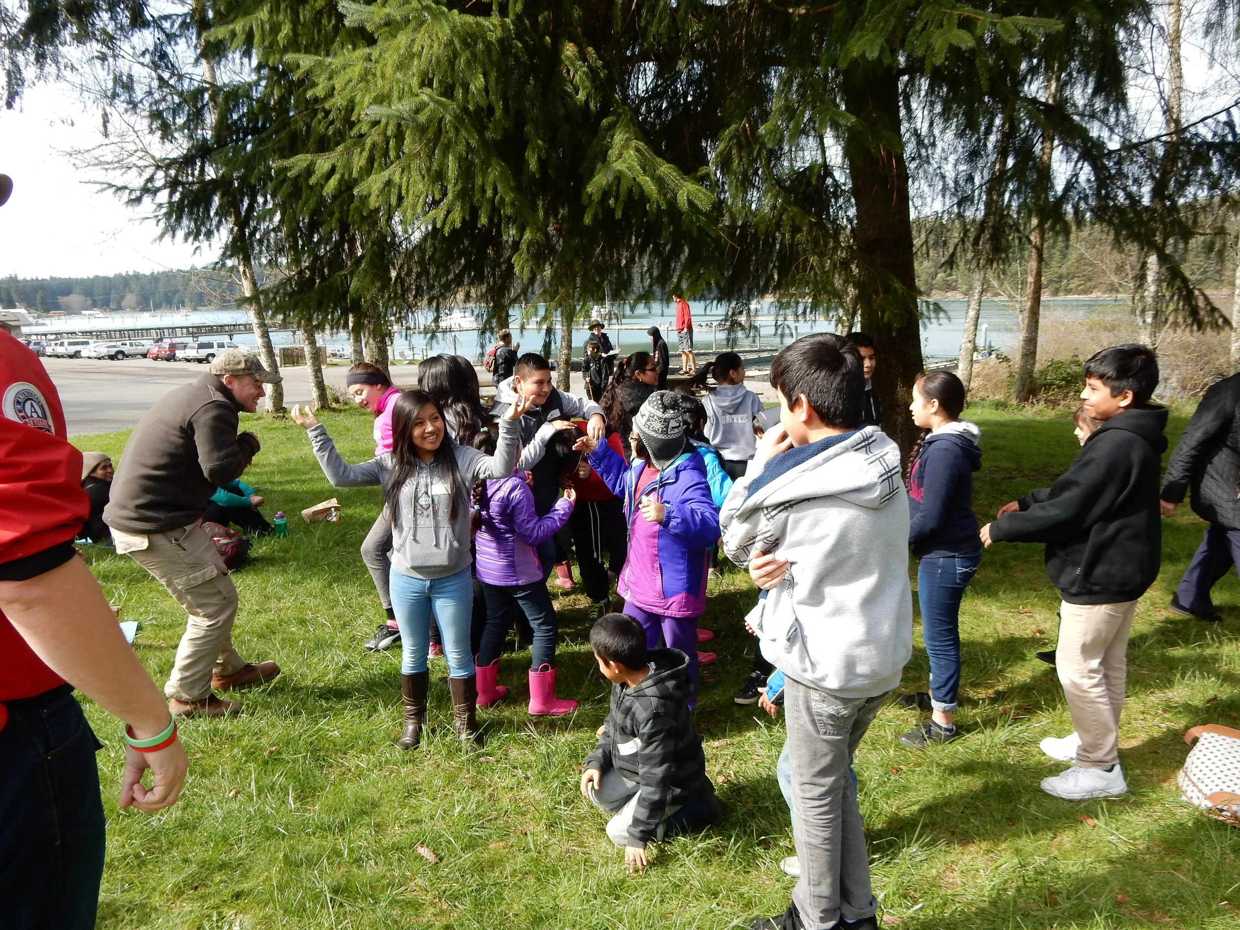 Moving Tree Lesson