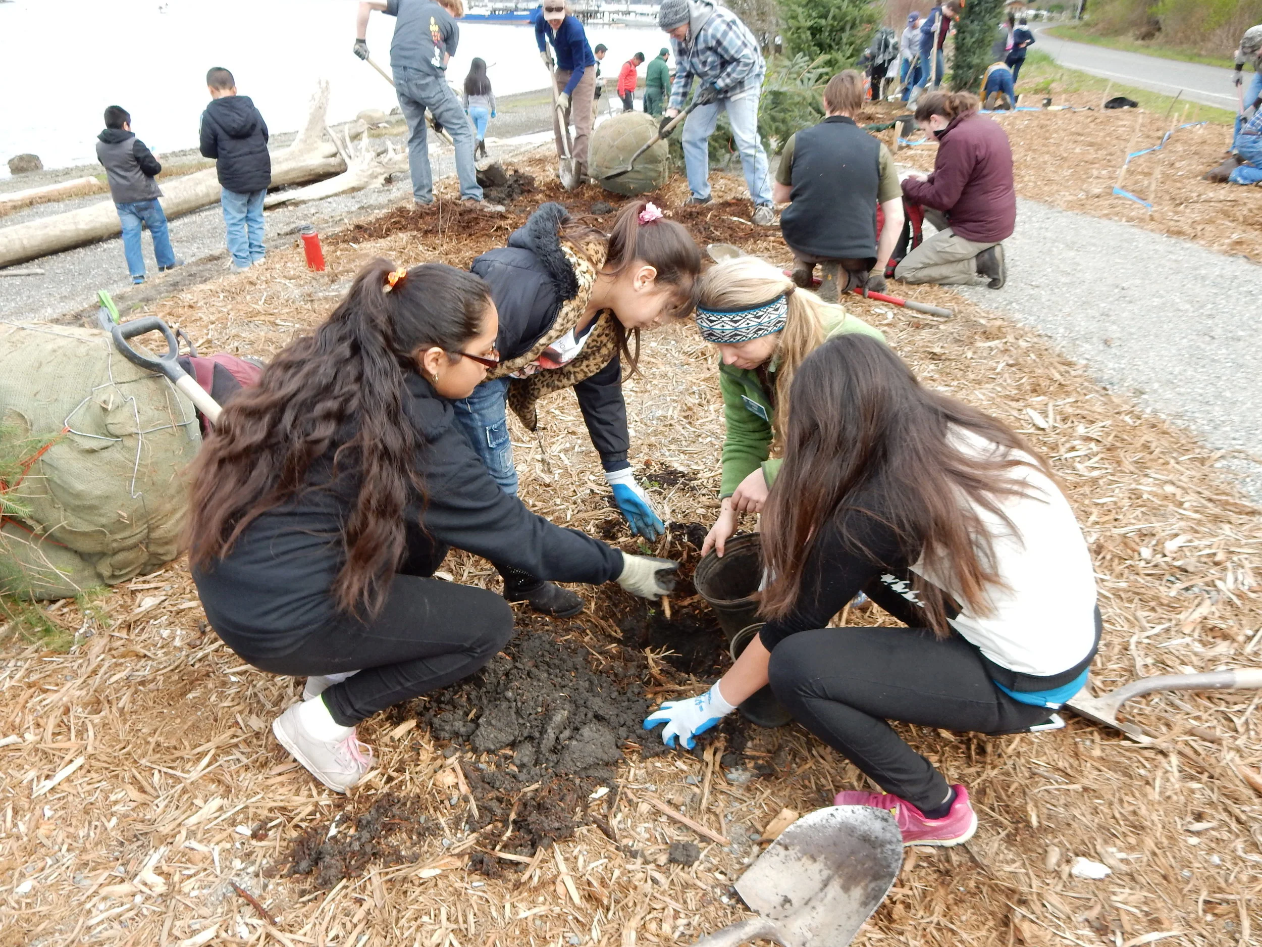 Growing Minds: Tree Planting at Cornet Bay with the Kulshan Creek Neighborhood Program