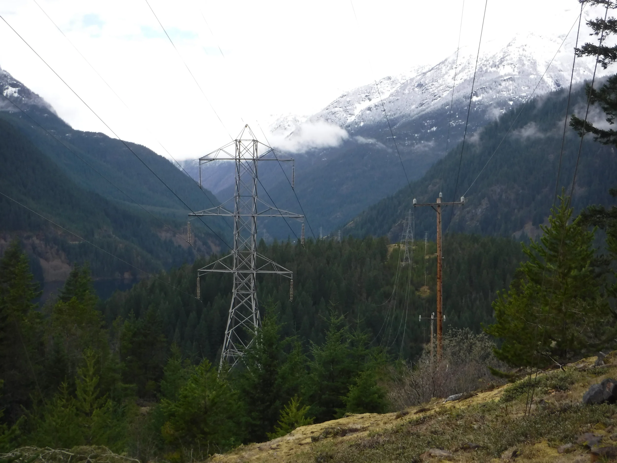 Where the Powerlines Start