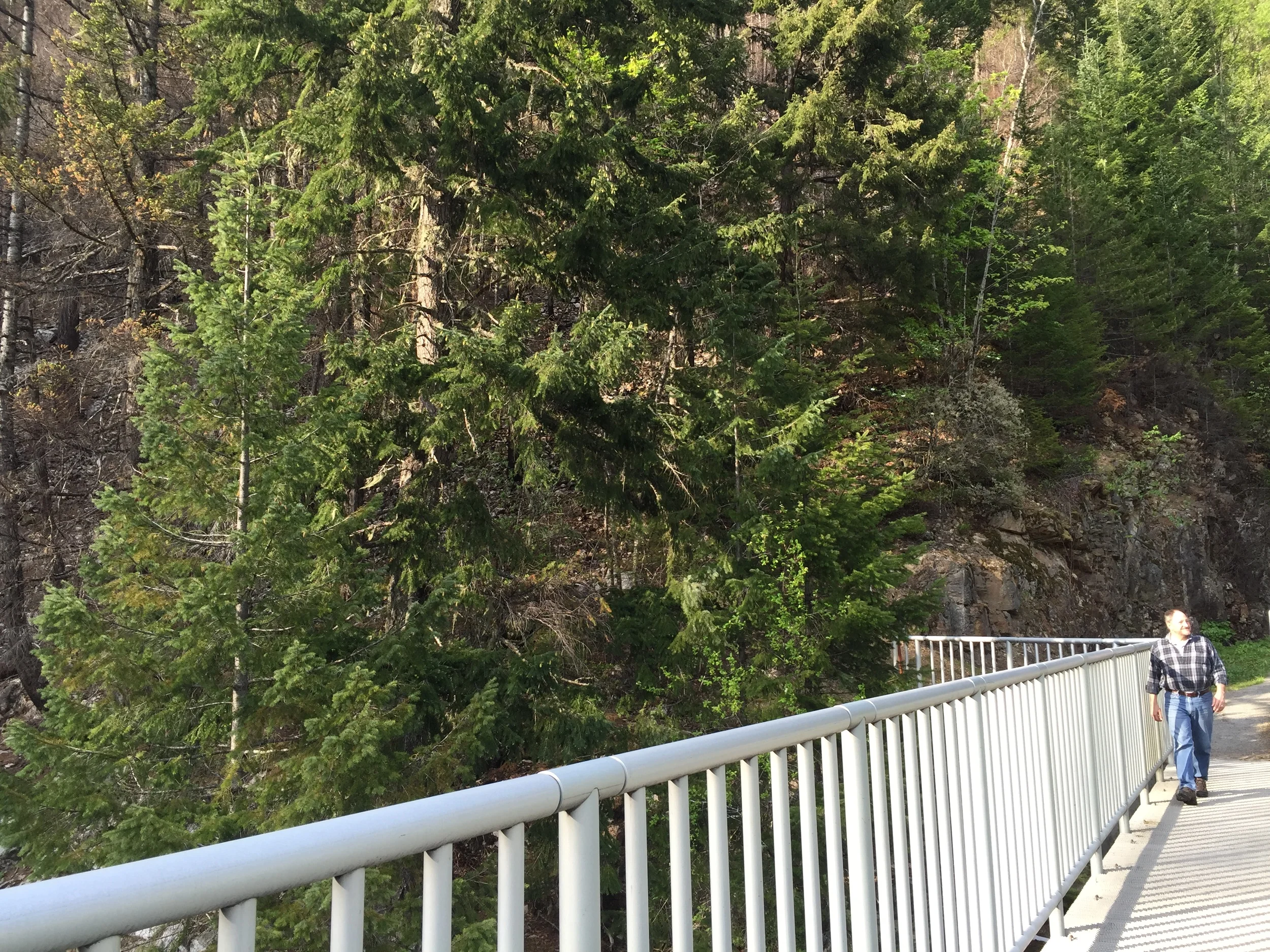 Dad enjoying the view at Gorge Creek Falls.