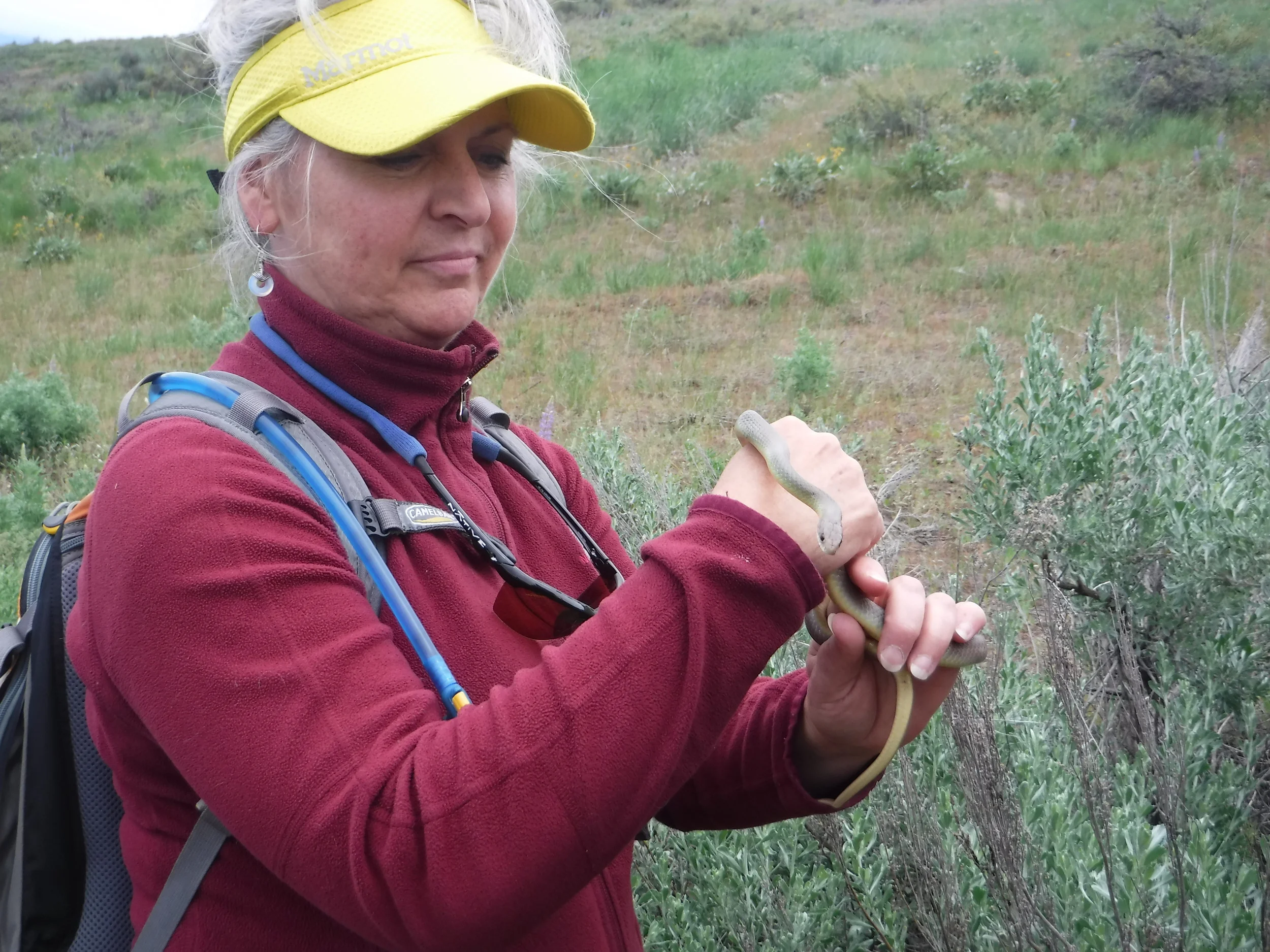 Participant holding a racer snake.
