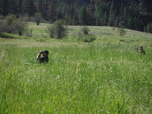Taking cover to observe birds.