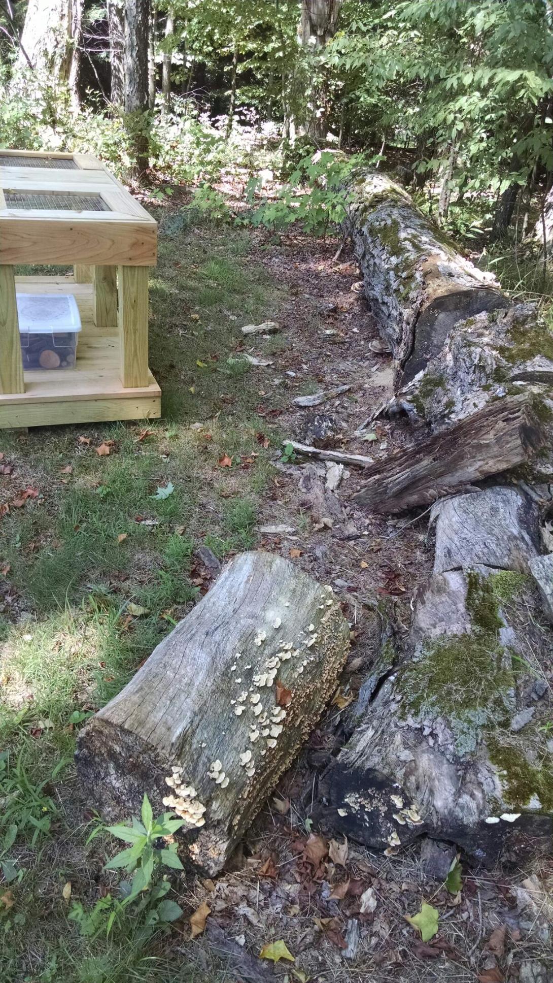 Natural Decay Area. Photo taken by Kurt Kusserow summer 2016.