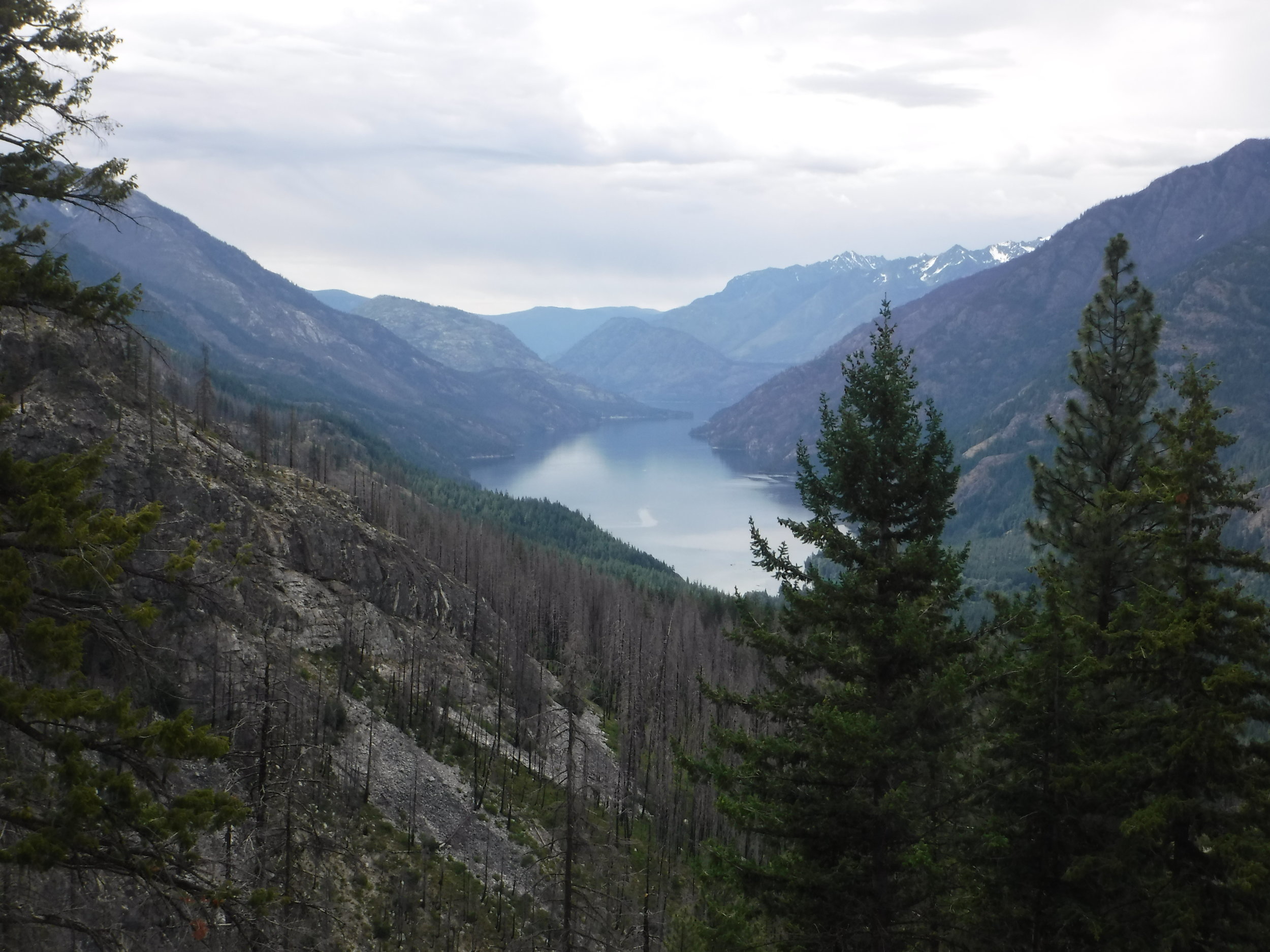 Northern end of Lake Chelan. Taken from Rainbow Loop Trail.