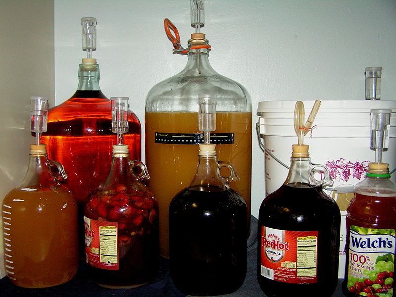 Home brewing kit (retrieved from Wikimedia commons)