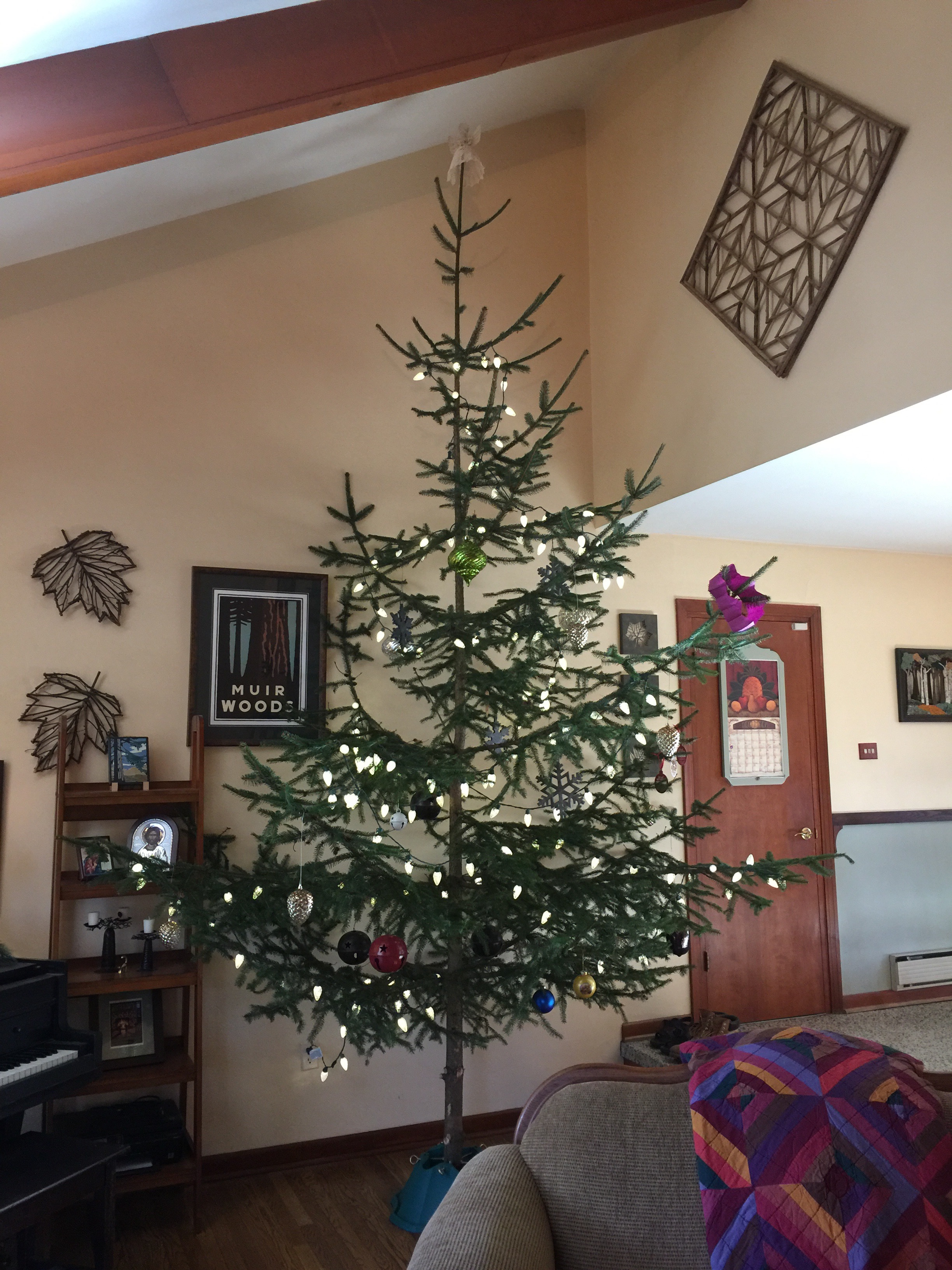 Our 13 foot tall 'Charlie Brown' tree