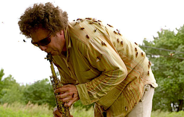 David Rothenberg jamming out with cicadas. Photo taken by Charles Lindsay