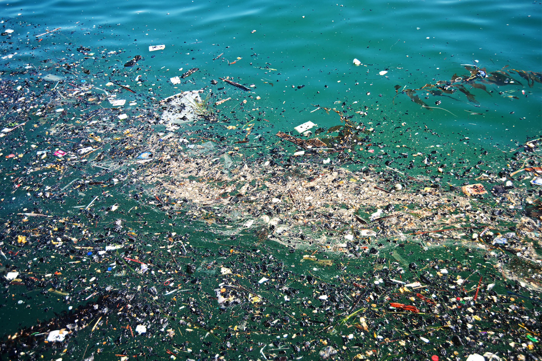 Some of the garbage in the Great Pacific Garbage Patch. Photo courtesy of How Stuff Works.