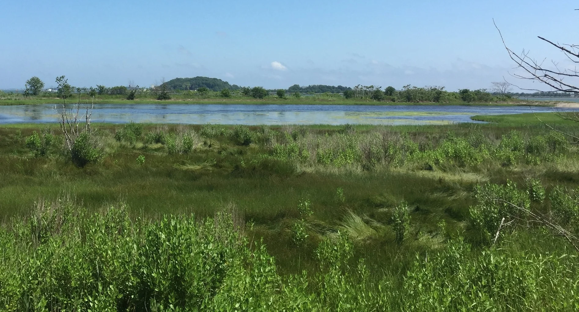 Thompson Island: My home in the harbor