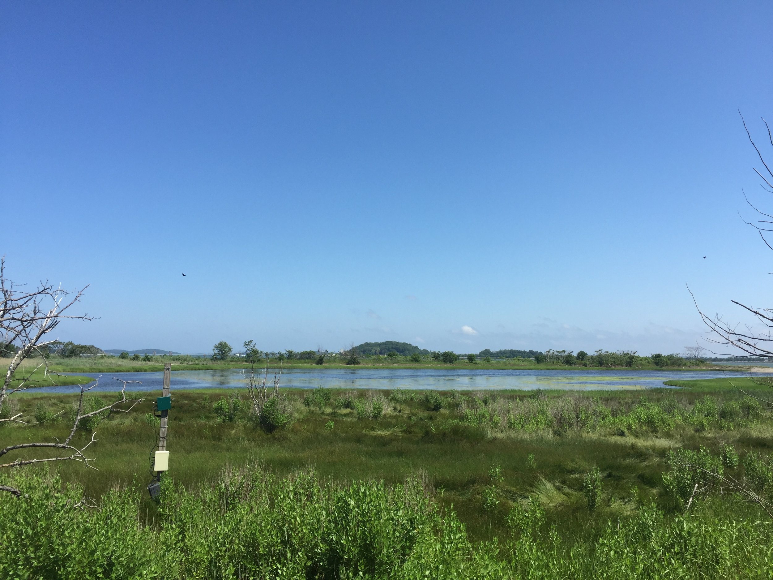 East Salt Marsh