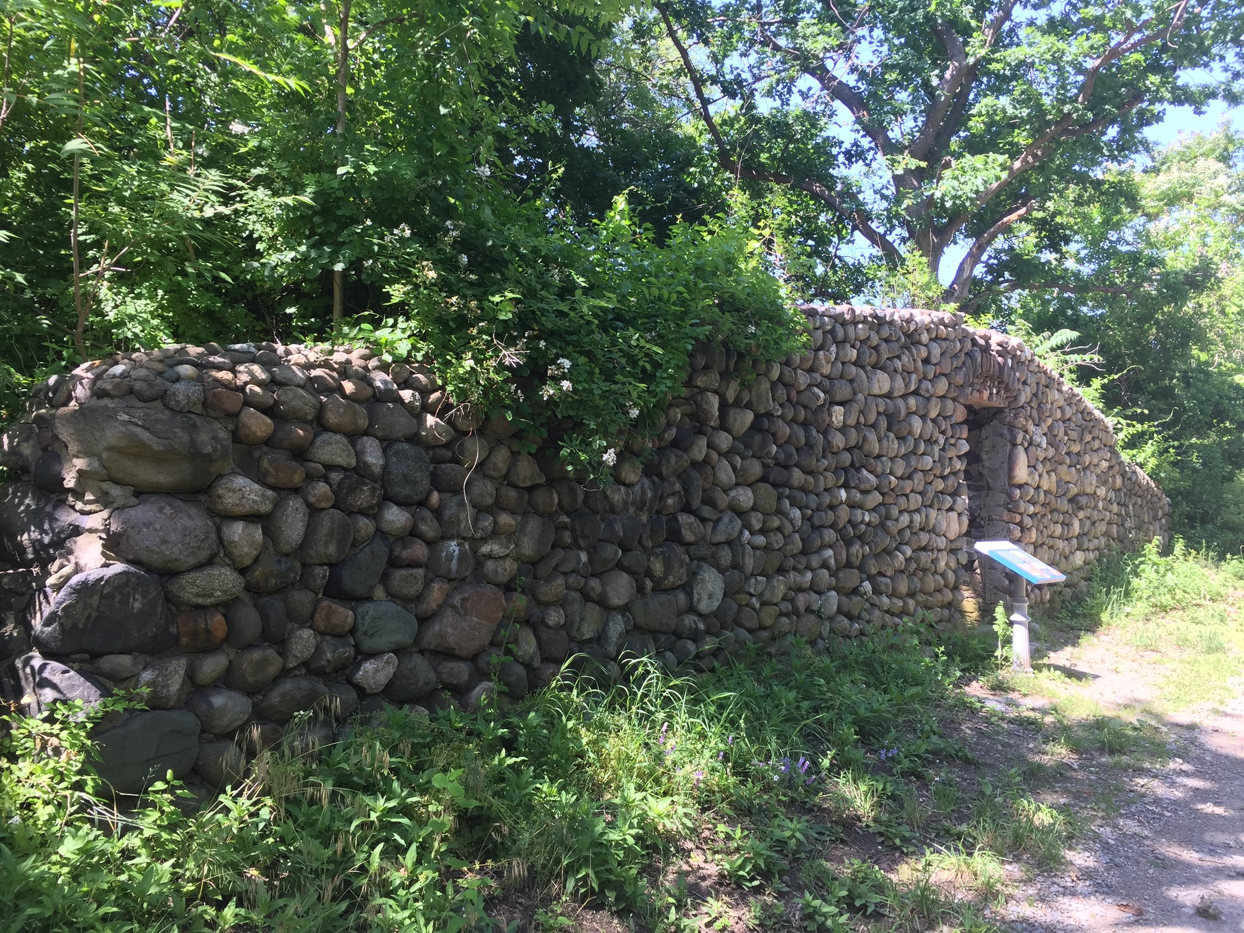 Root Cellar