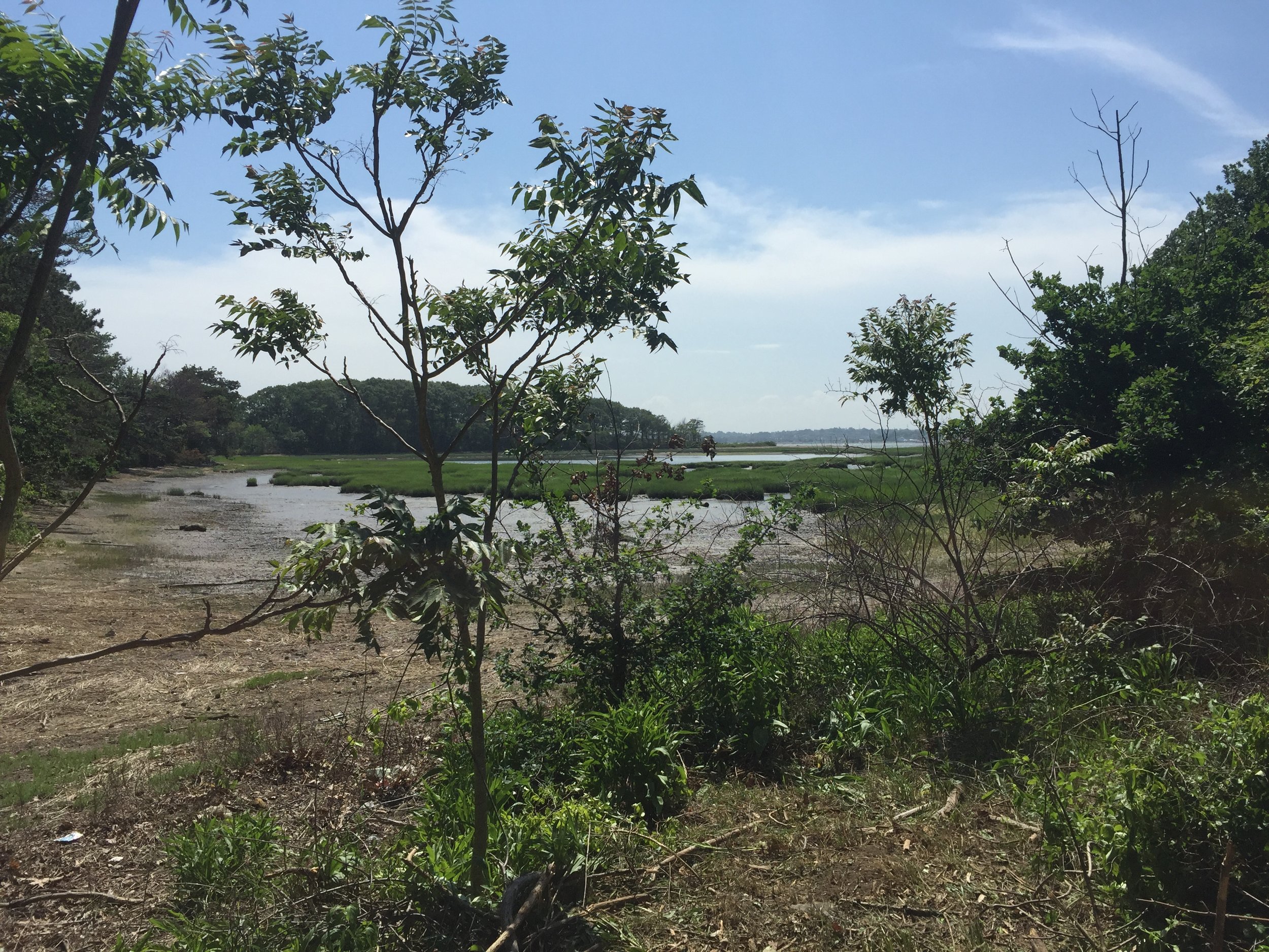 West Salt Marsh