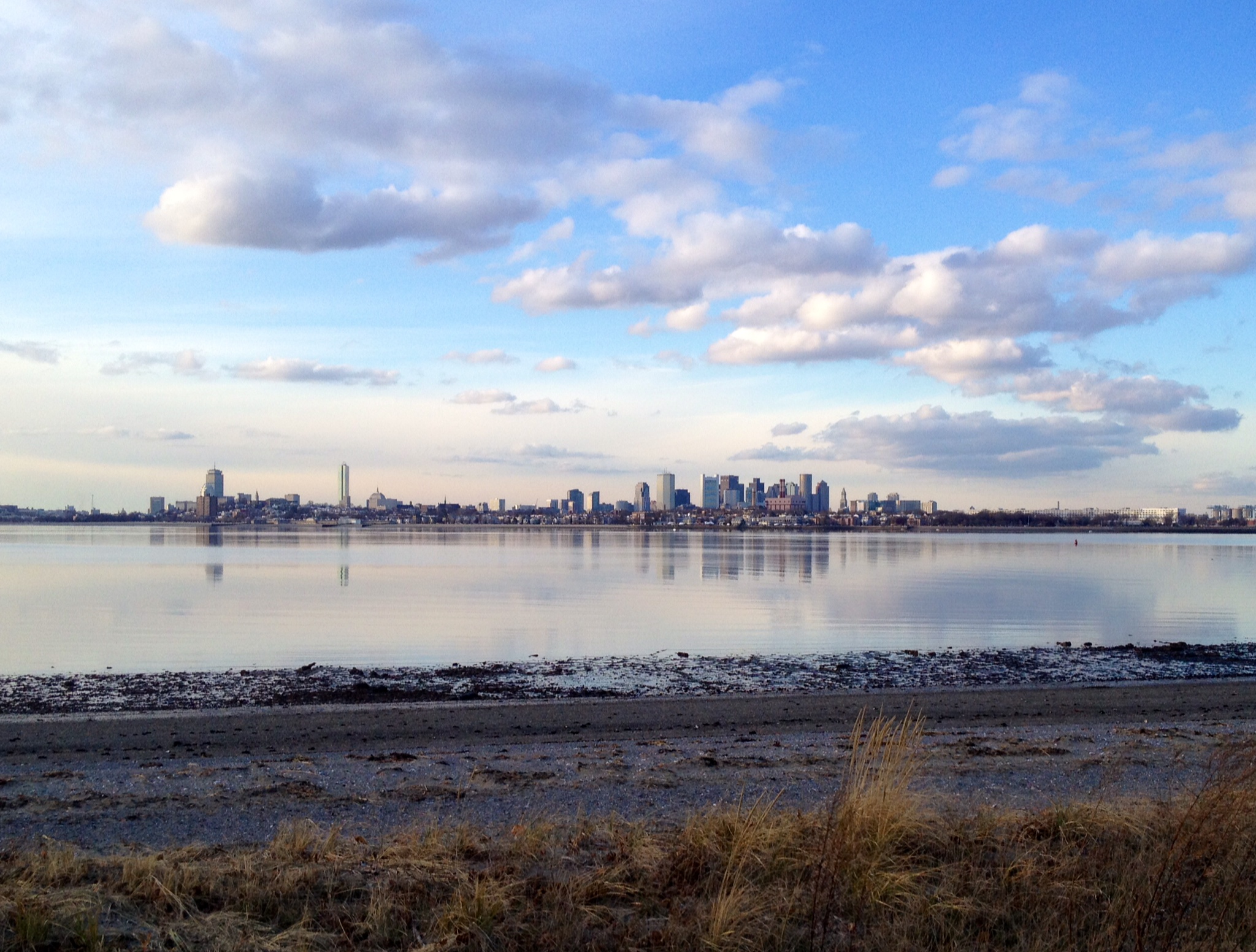 View of Boston from our western shore. Photo courtesy of Boston Harbor Beacon.