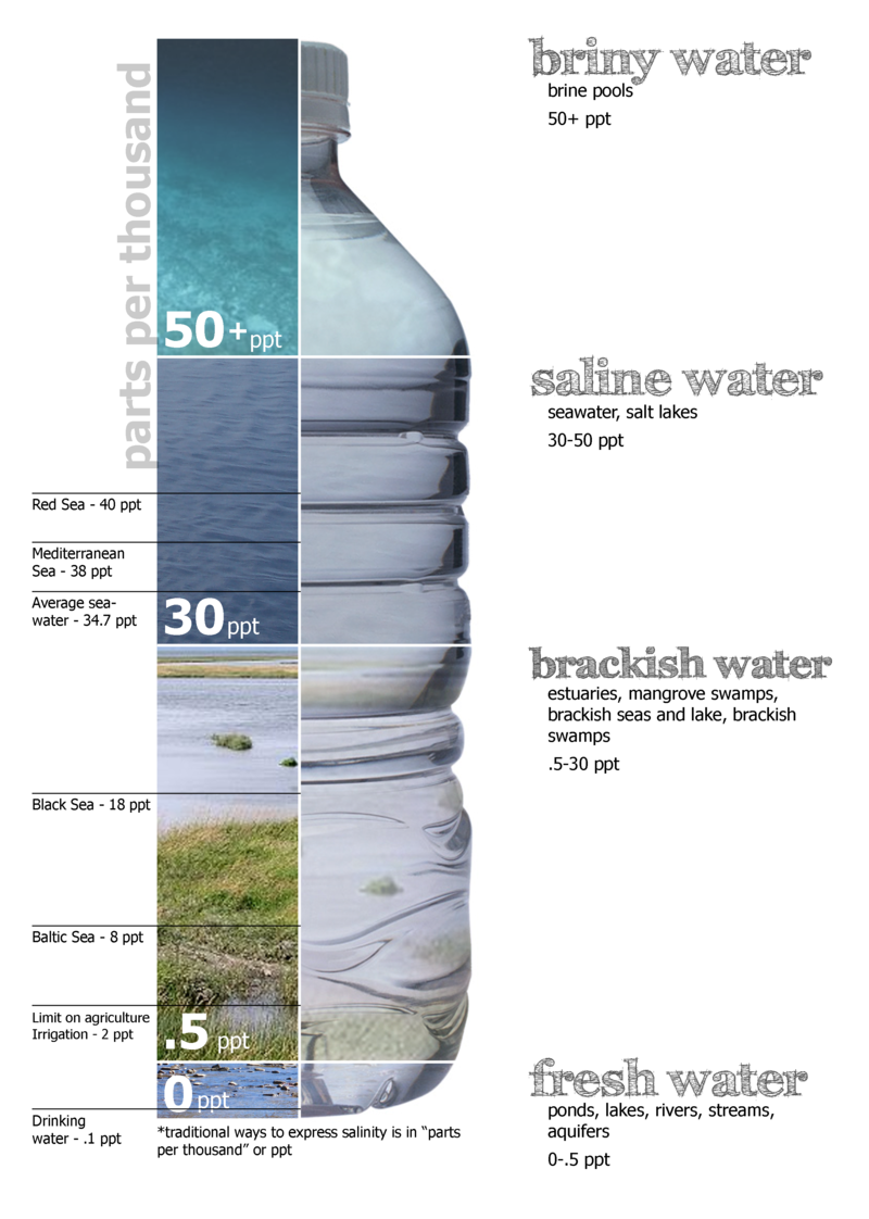 Salinity chart. Made by Peter Summerlin. Retrieved from Wikipedia.