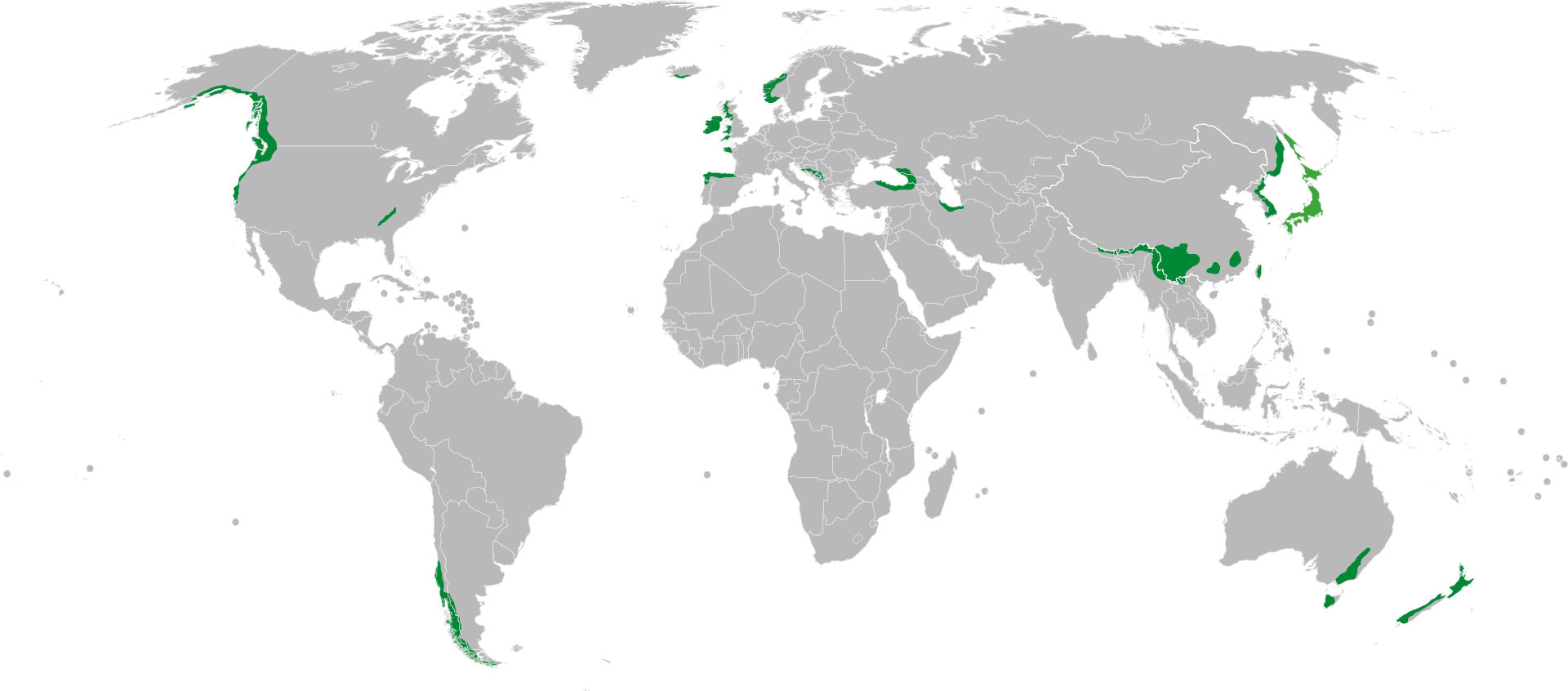 Photo retrieved from Wikipedia