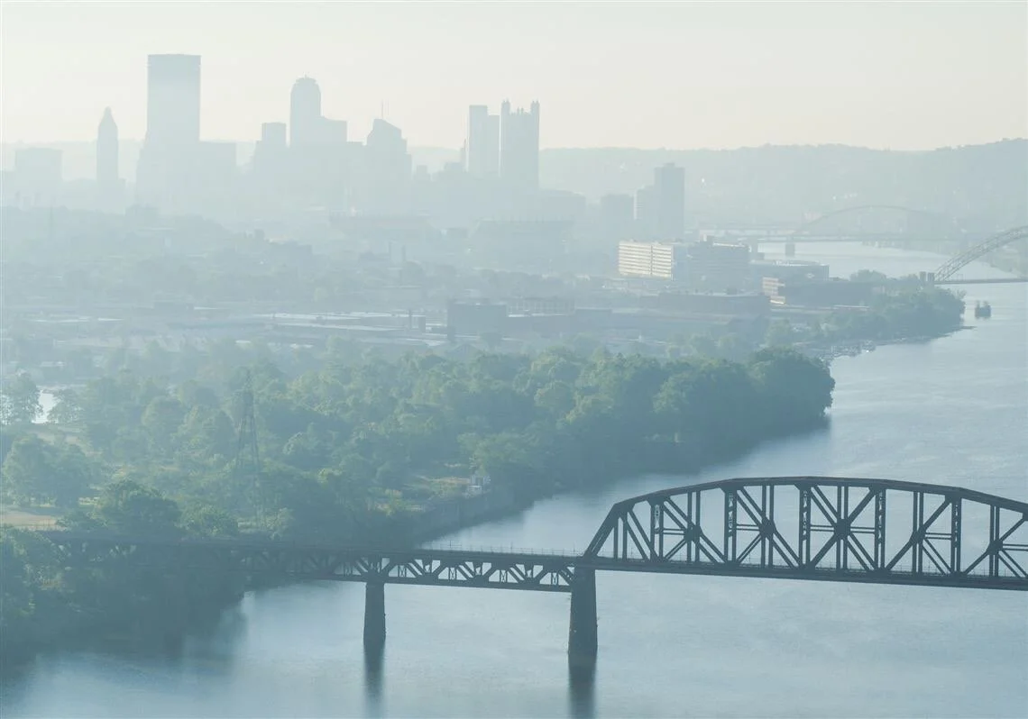 Fascism is Democracy’s Pollution