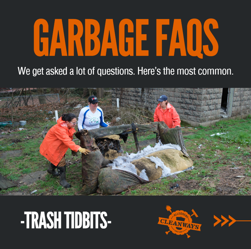 FAQ 1.png