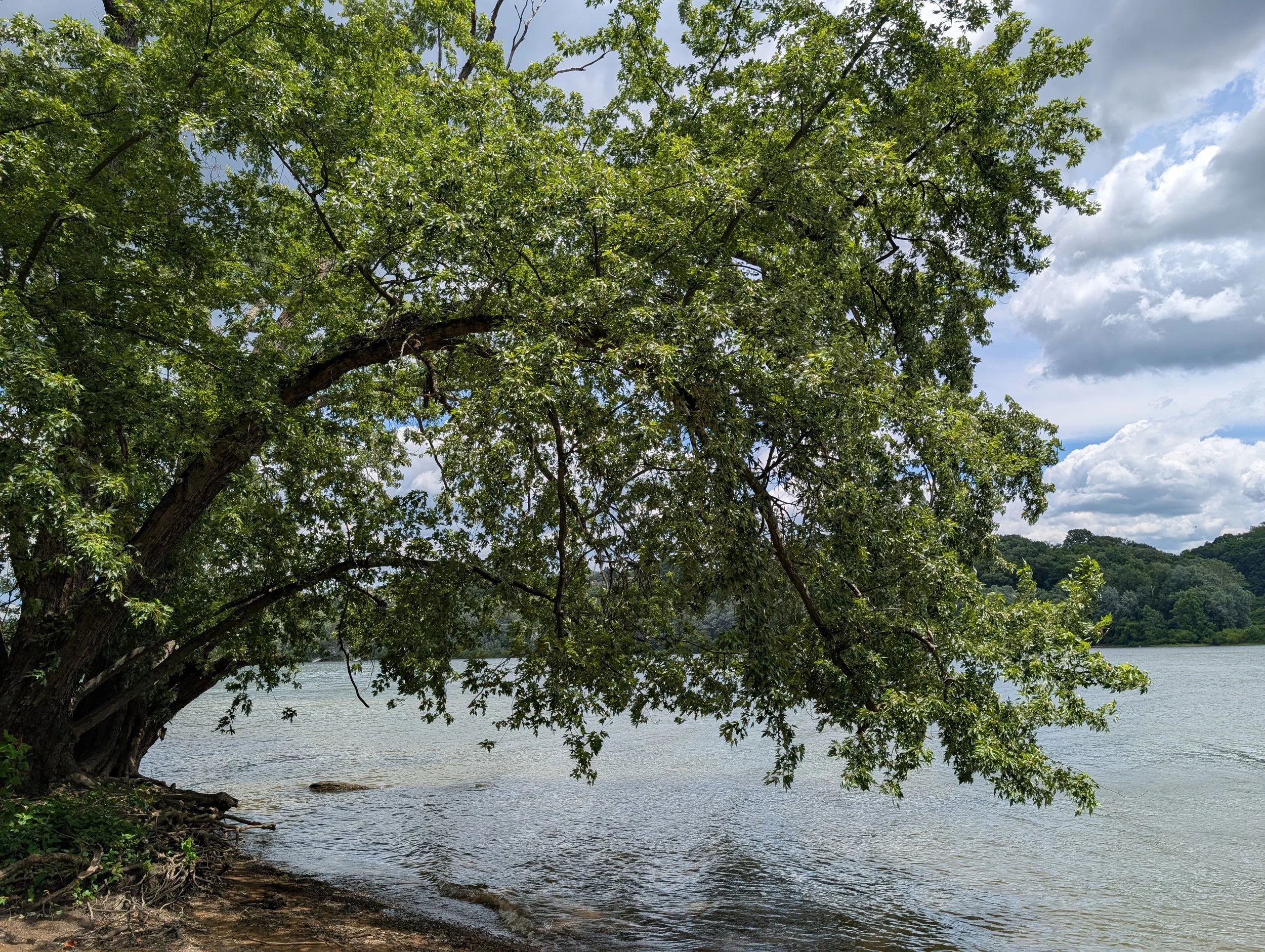 PXL_20260618_165737991.jpg