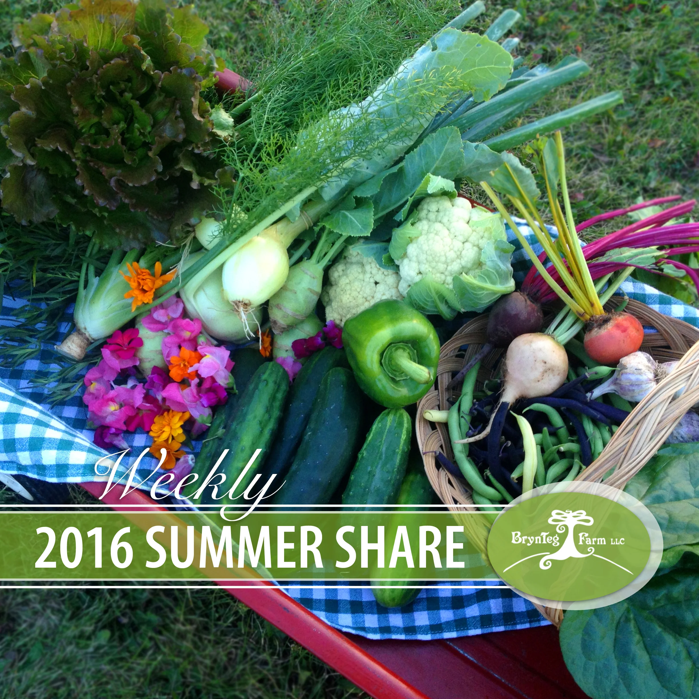 National CSA Sign-up Day!