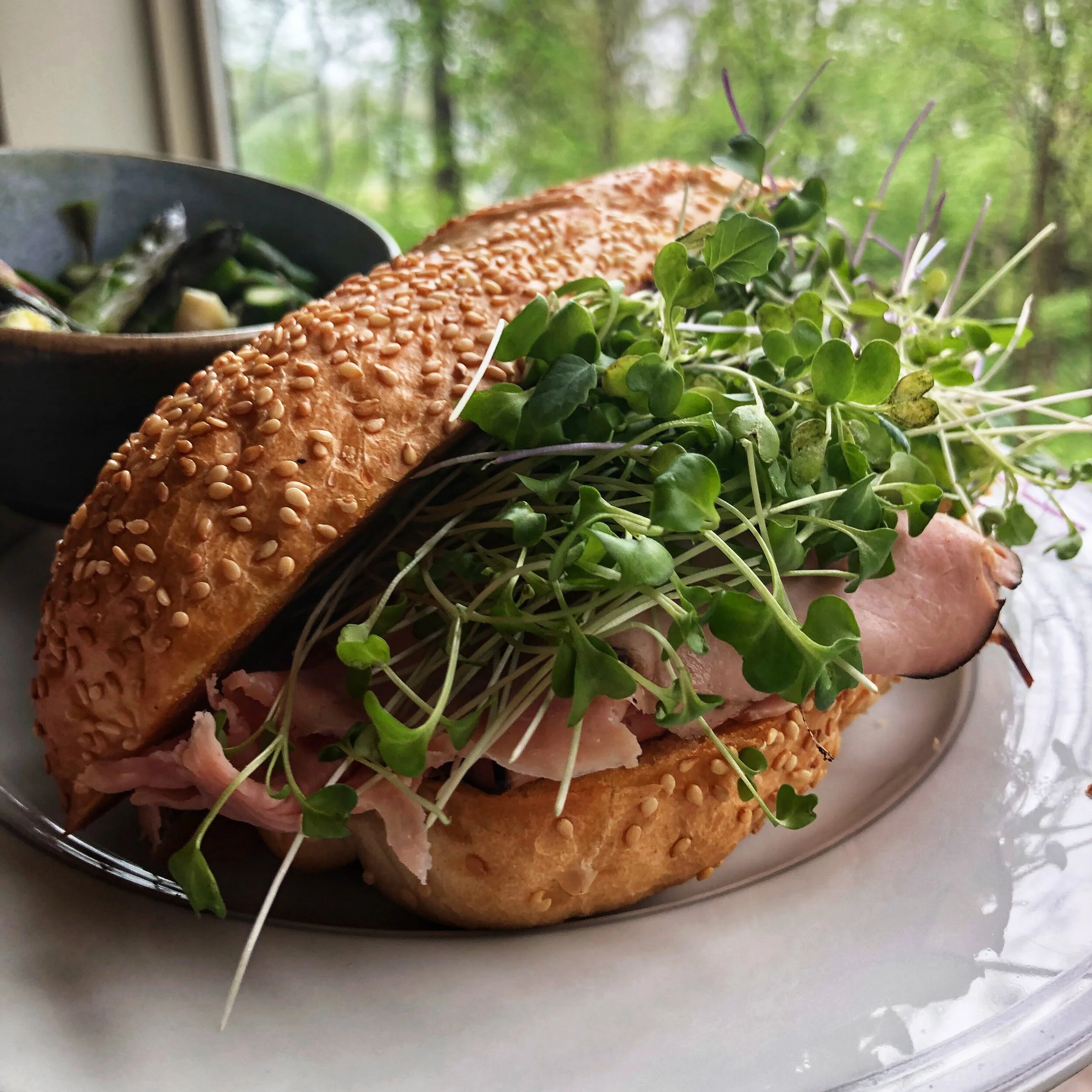 Plated Micros 4 BrynTeg Farm.jpg