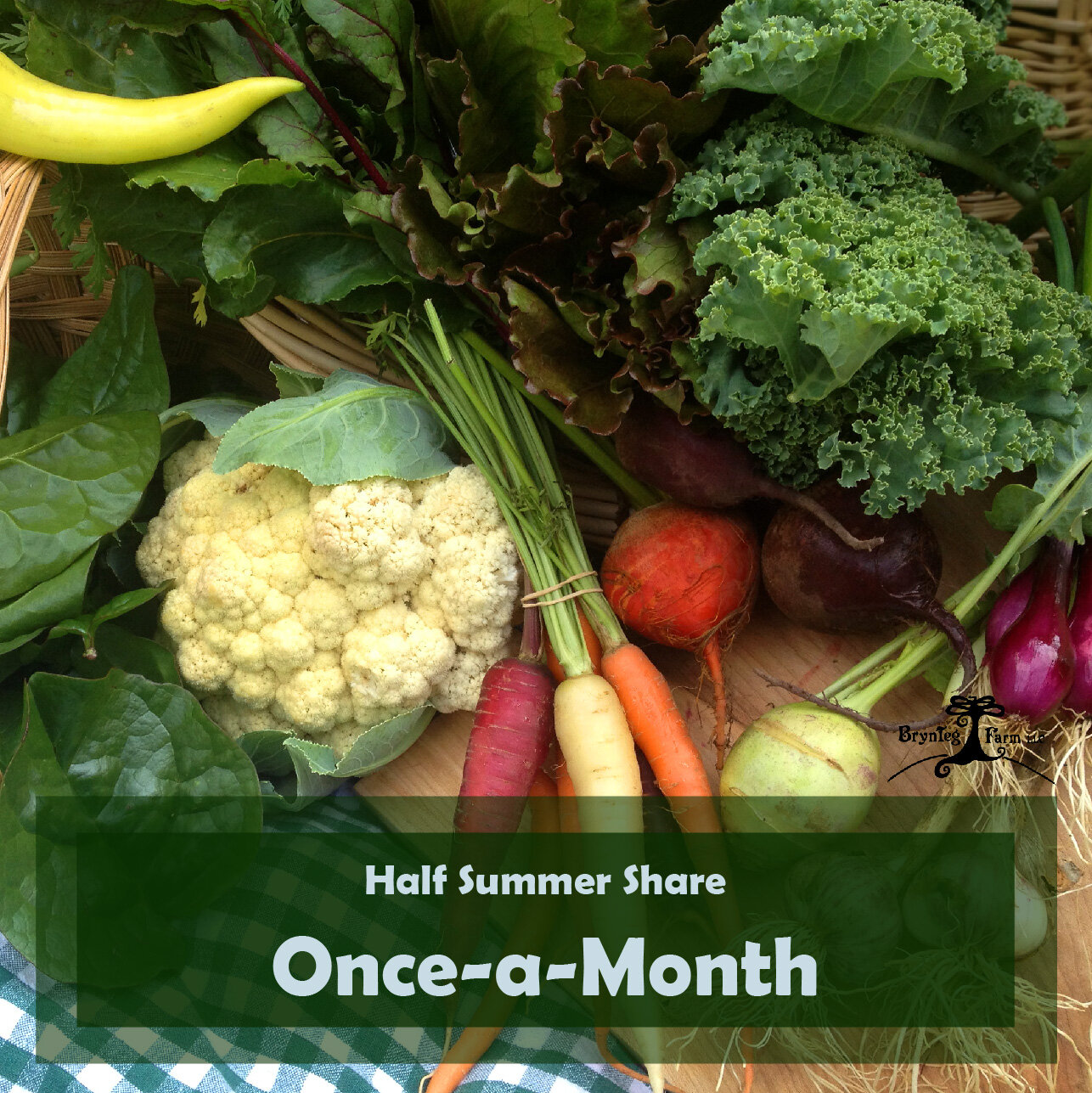 Half Once-A-Month Summer Share - BrynTeg Farm-01.jpg