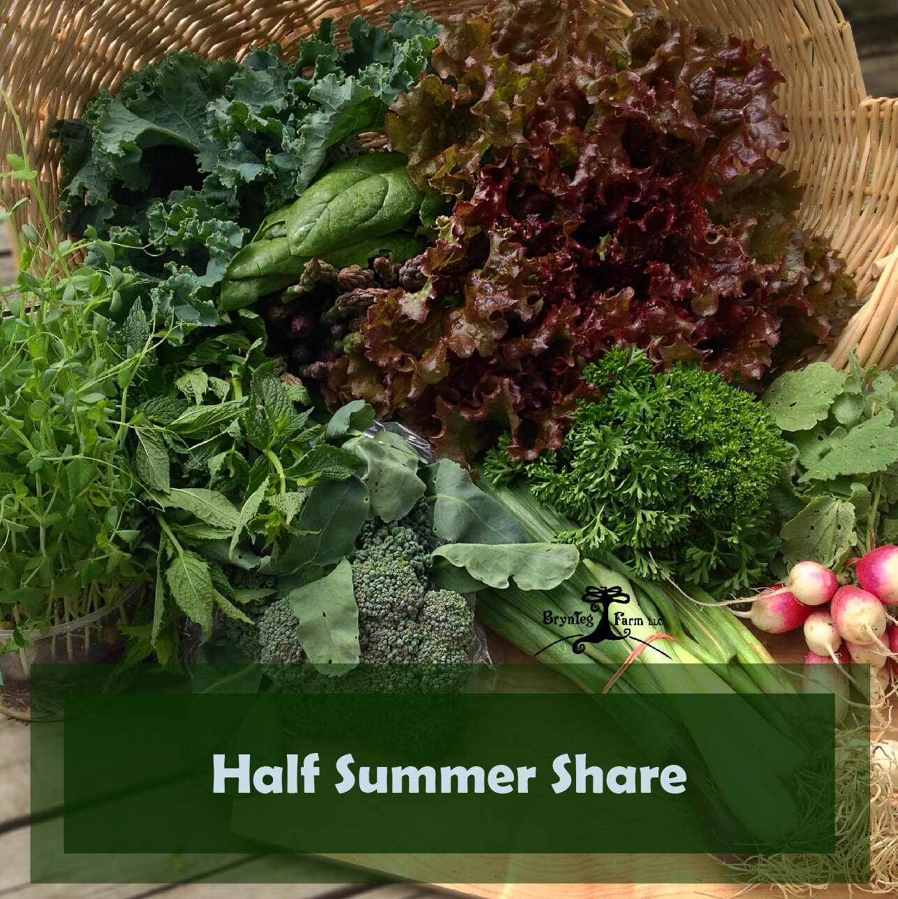 Half Summer Share - BrynTeg Farm-01.jpg
