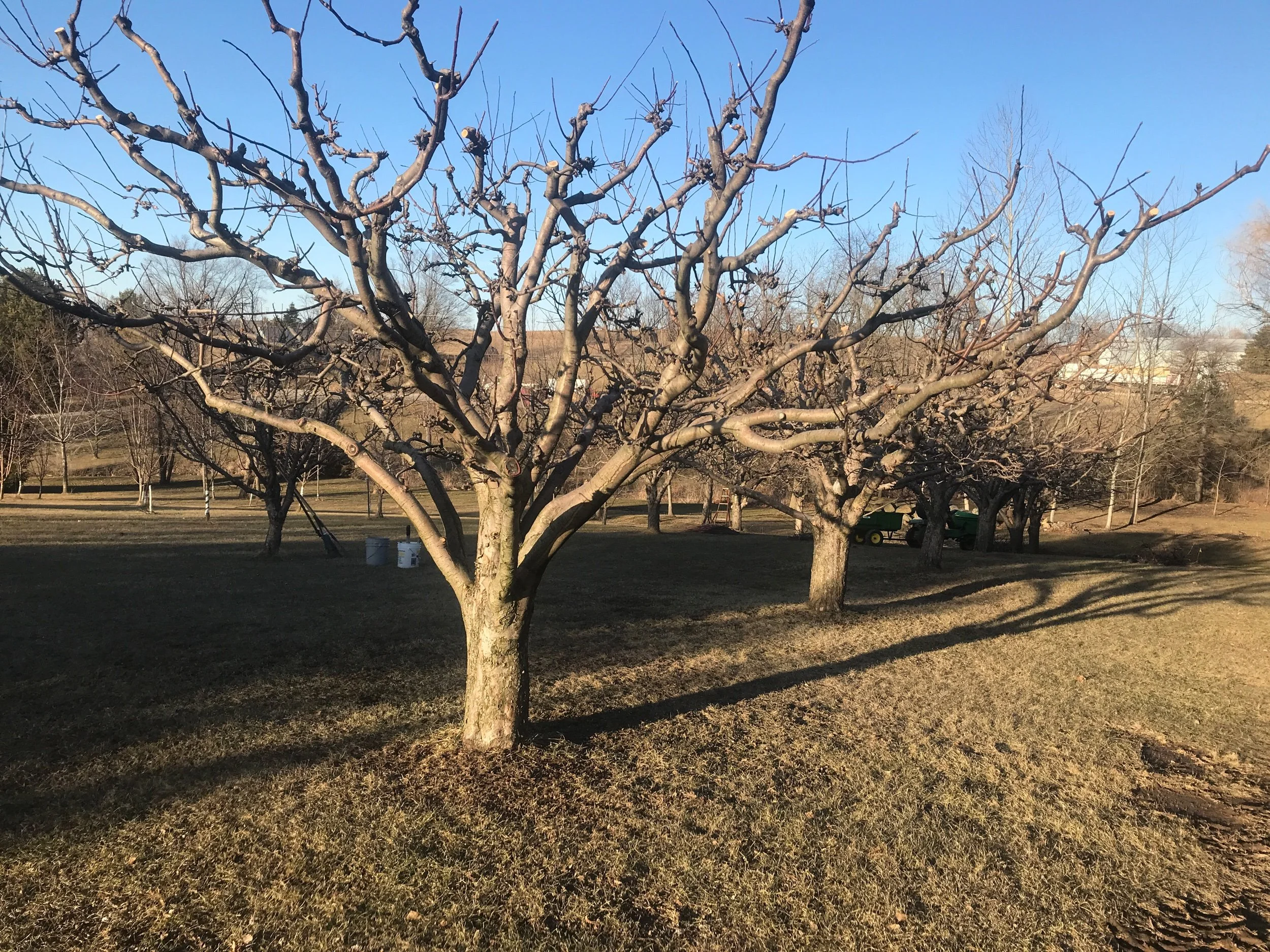 My God, my strength in whom I trust