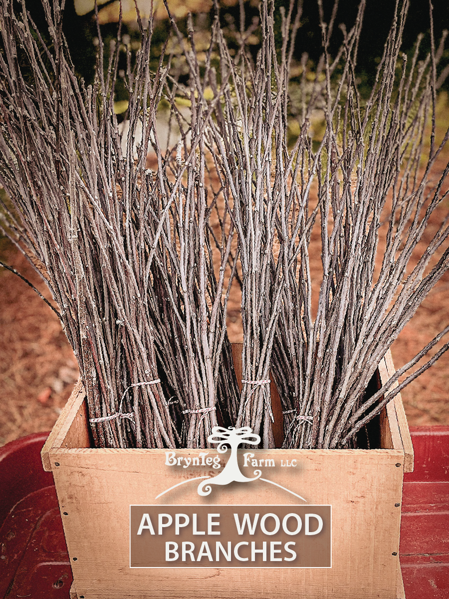 Apple Wood Branches — BrynTeg Farm