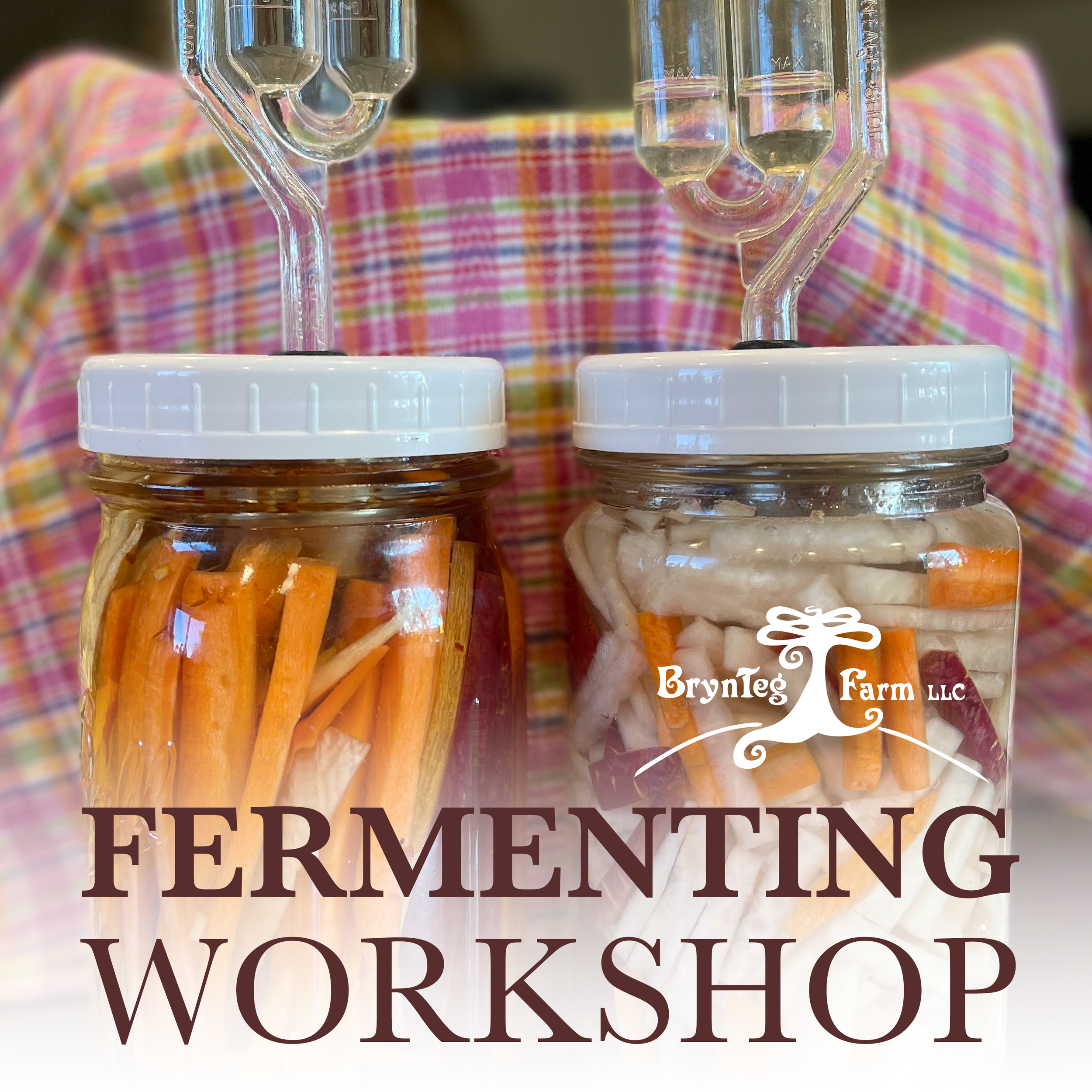 Fermenting Workshop (Saturday)