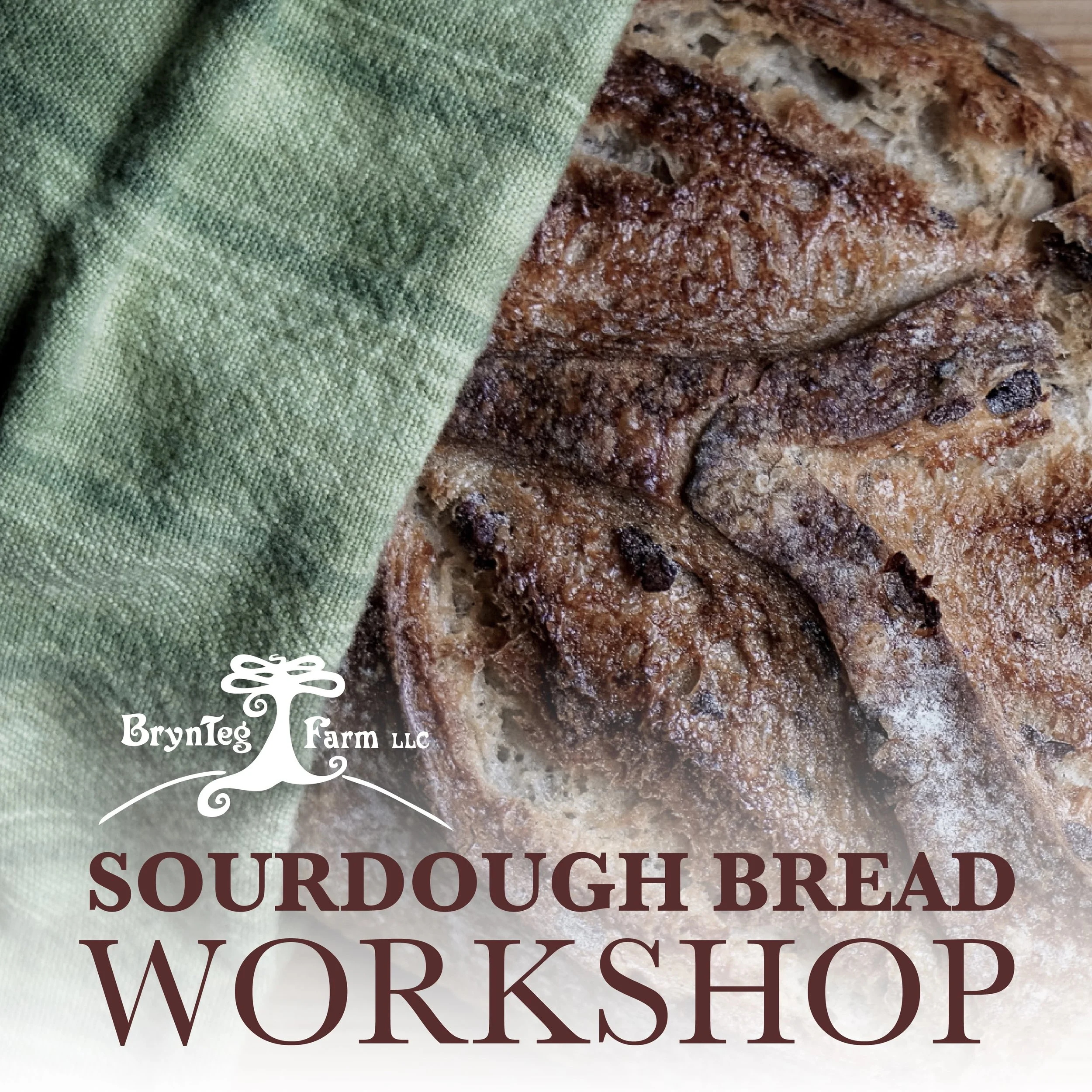 Sourdough Workshop (Wednesday)