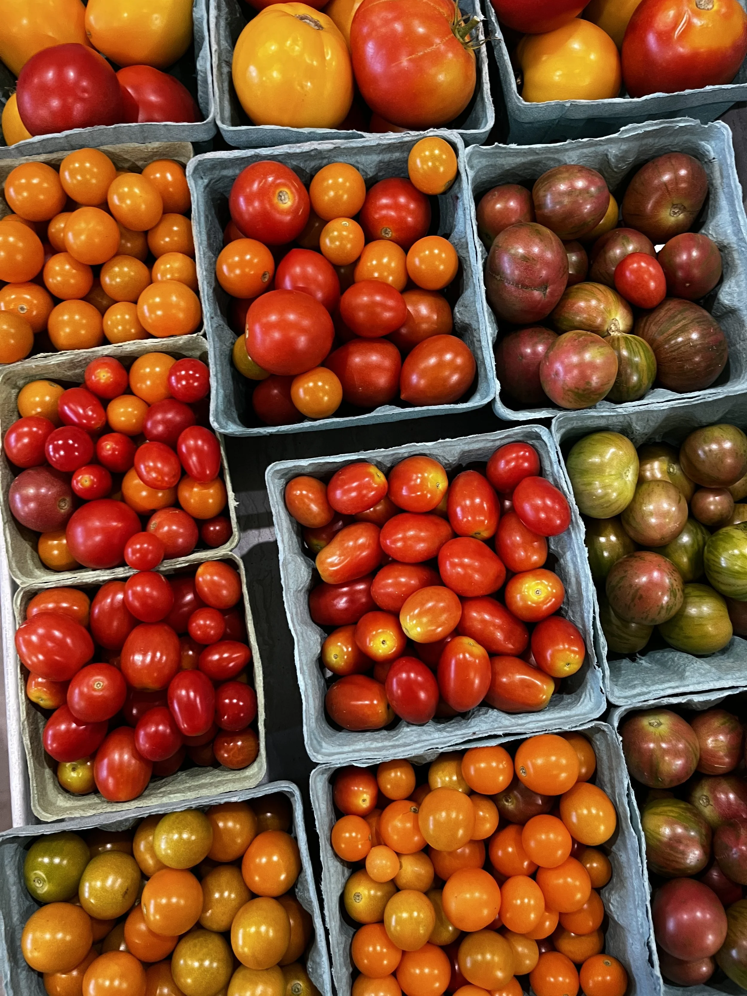 Cherry Tomatoes BT8.jpg