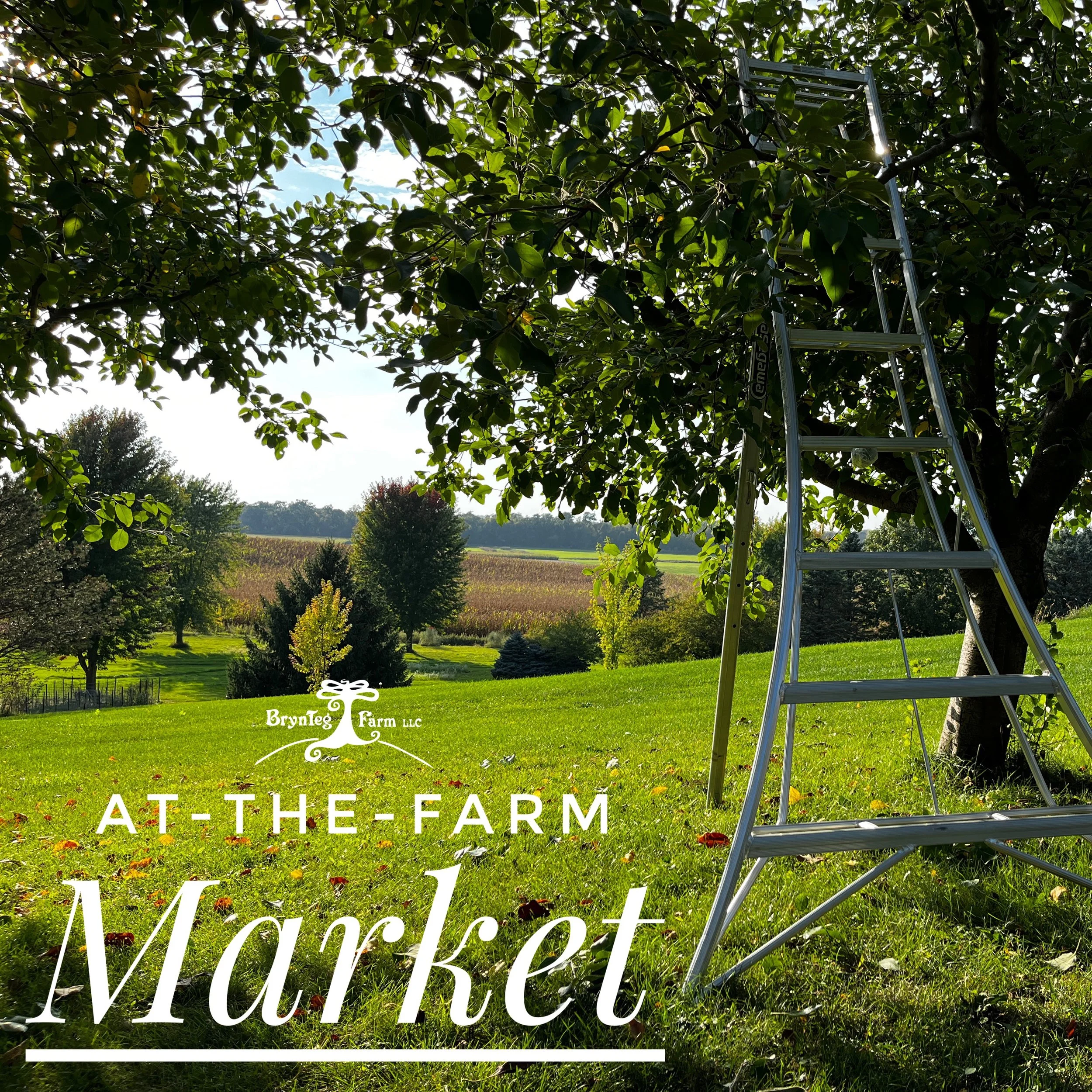 Farm and Orchard Store