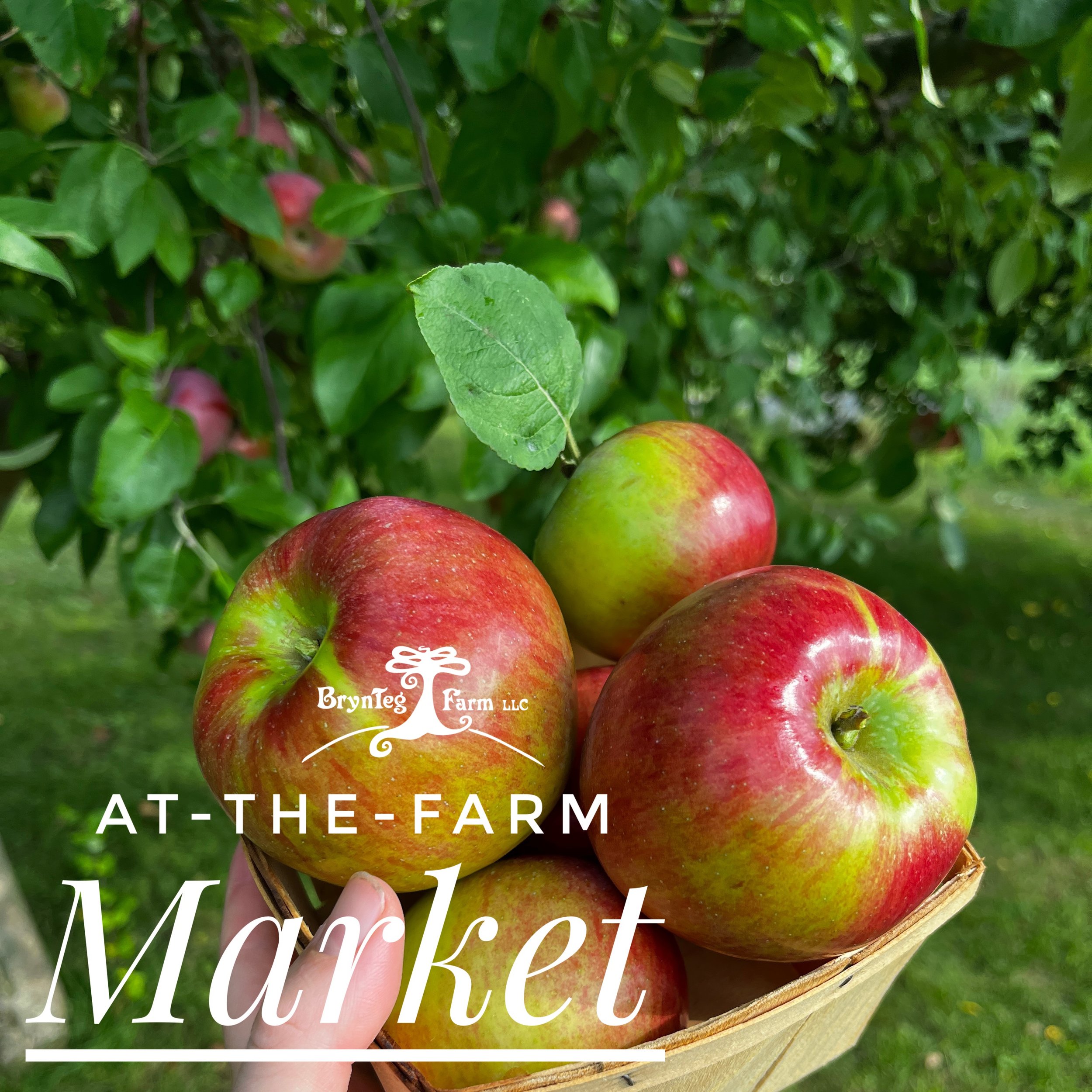 Farm and Orchard Store