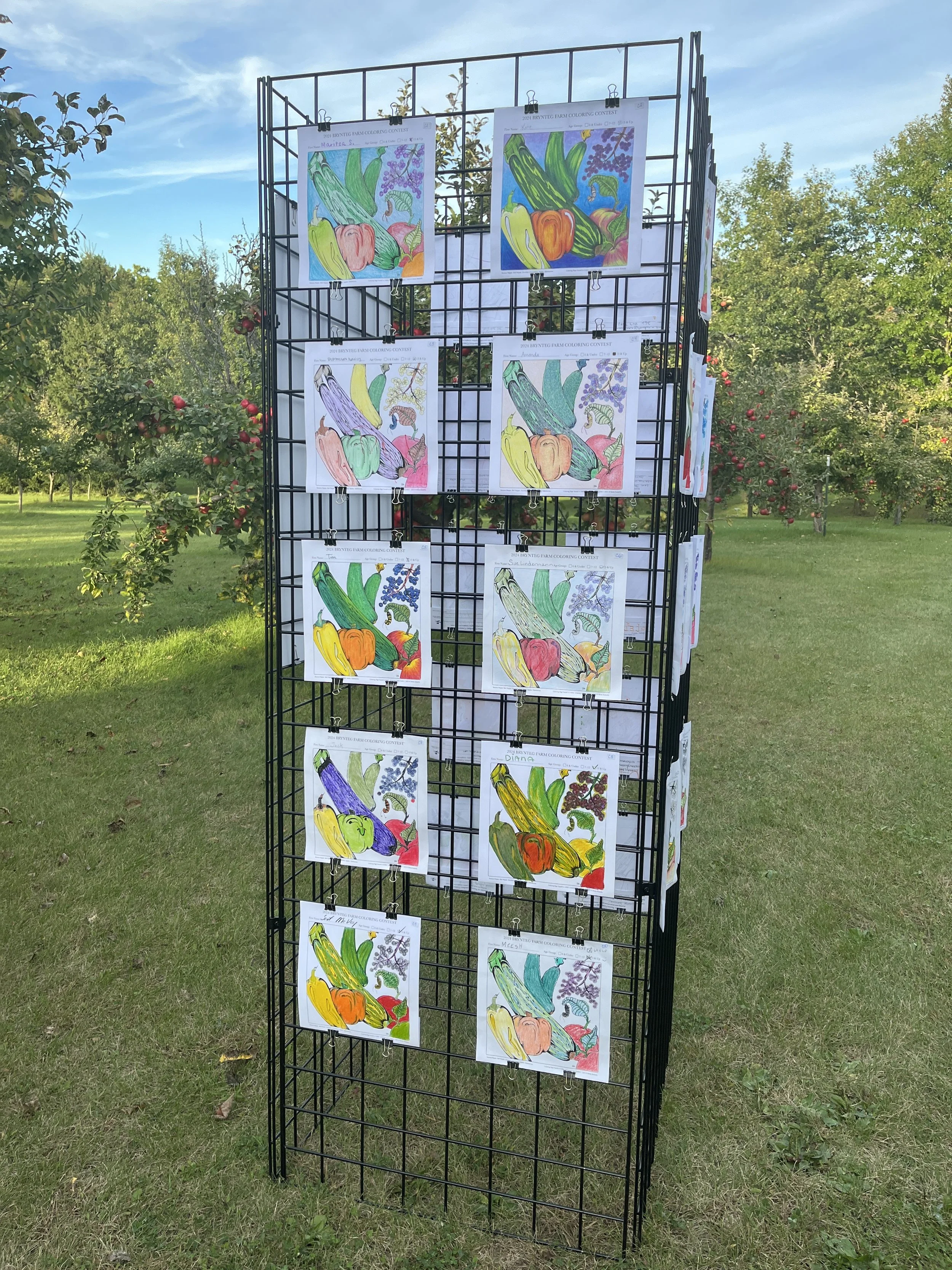 2024-ColoringContest-Submissions-BrynTegFarm-7.JPG