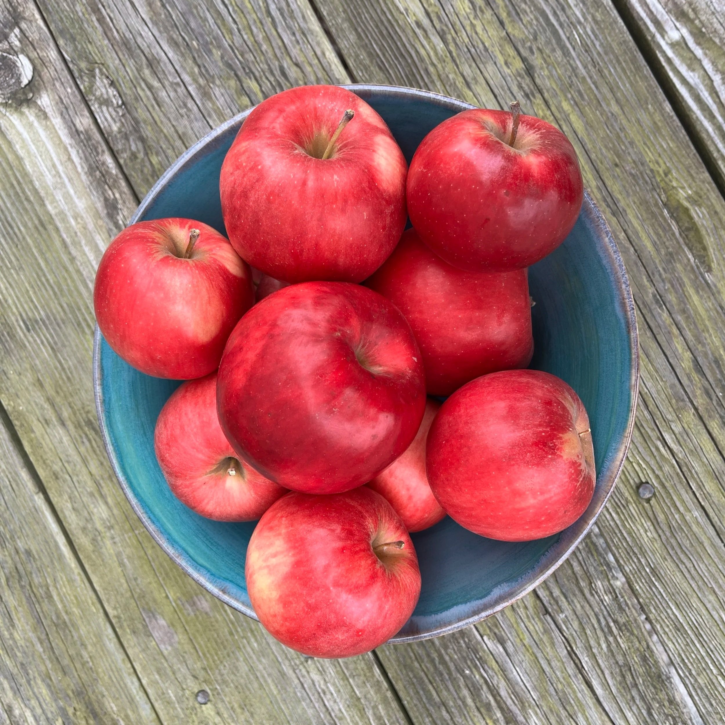 Bowl-of-Apples_BrynTegFarm-02.jpg