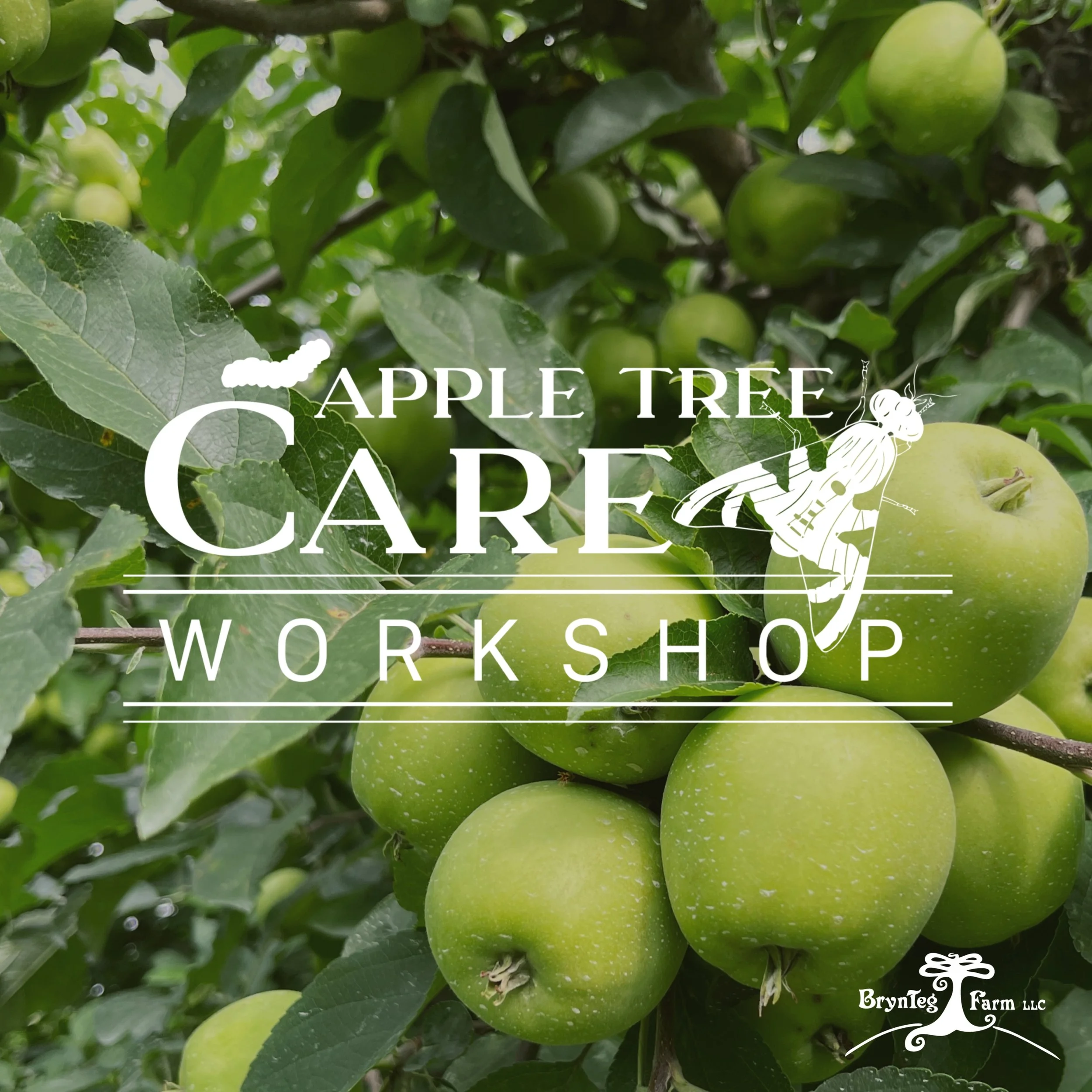 Apple Tree Care Workshop