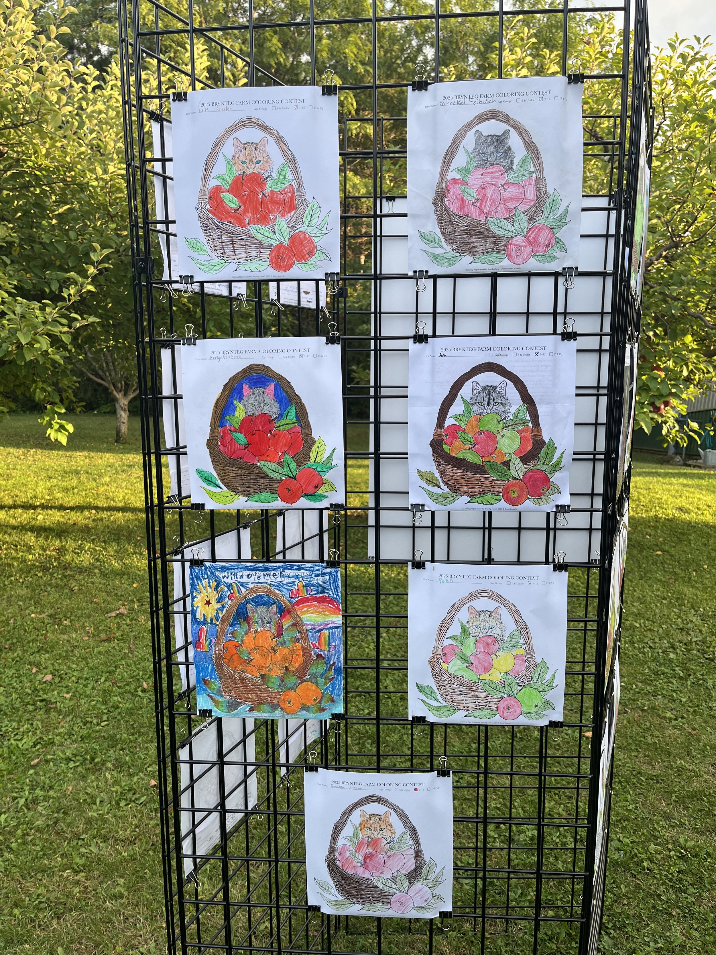 2025ColoringContest-BrynTegFarm-11.JPG