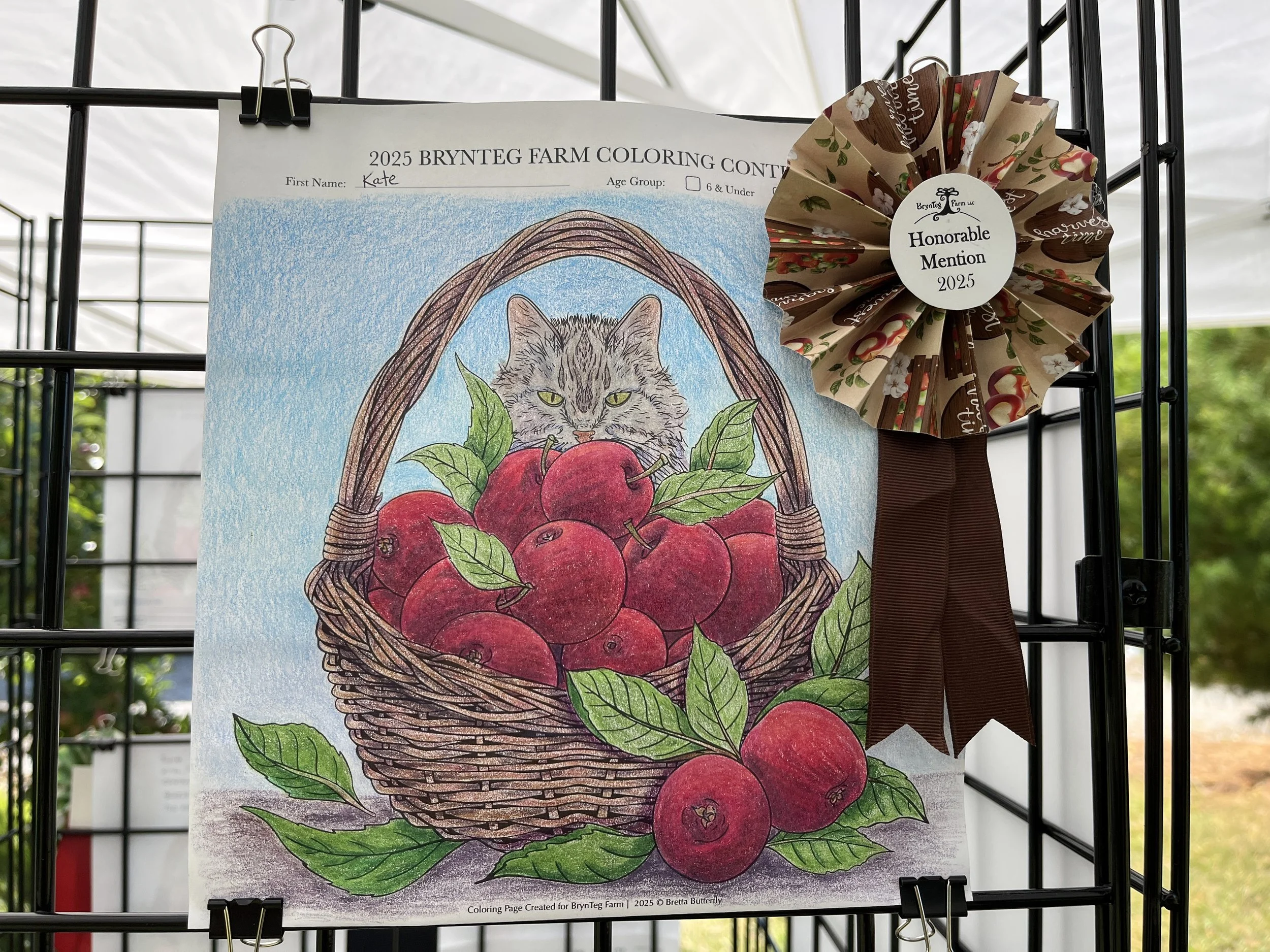 2025ColoringContest-BrynTegFarm-25.JPG