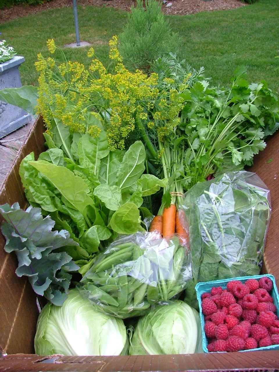 VeggieBox1.JPG