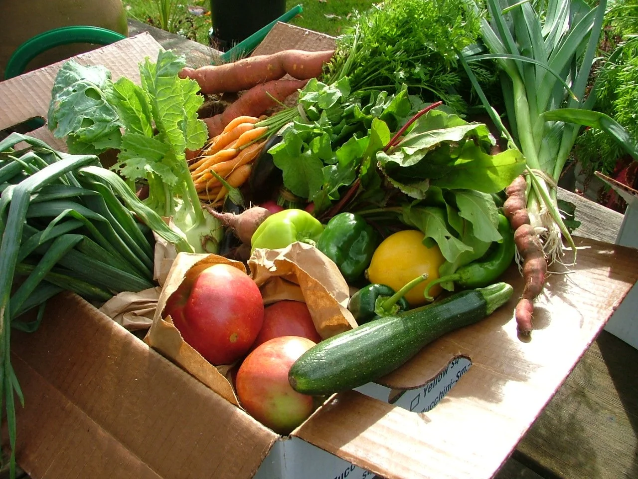 VeggieBox8.JPG
