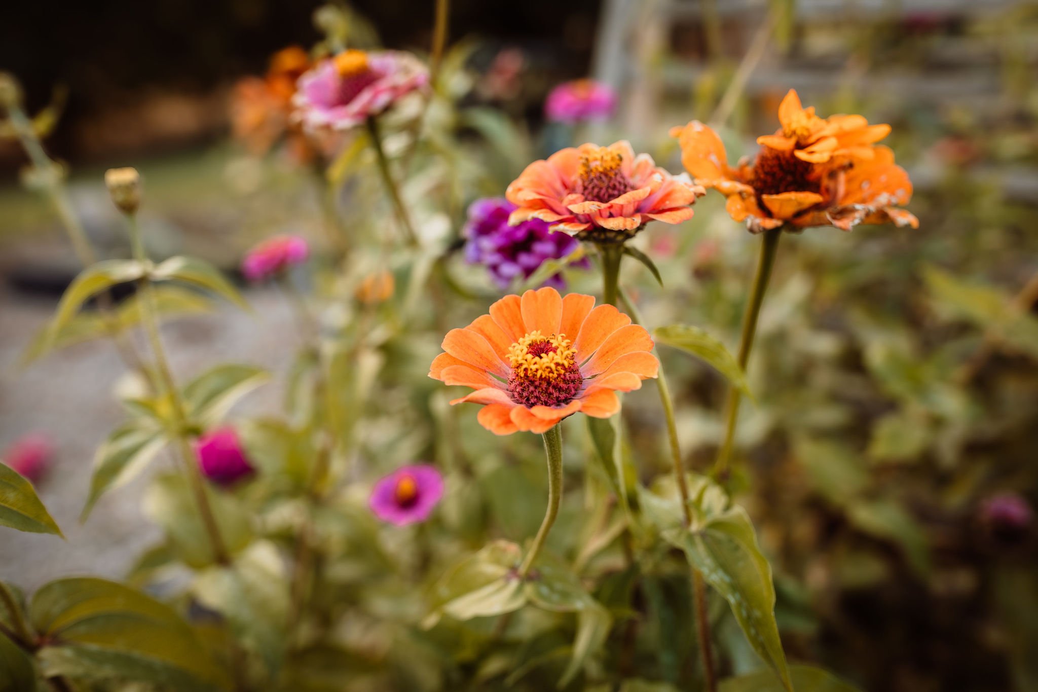 BrynTegFarm-63.jpg