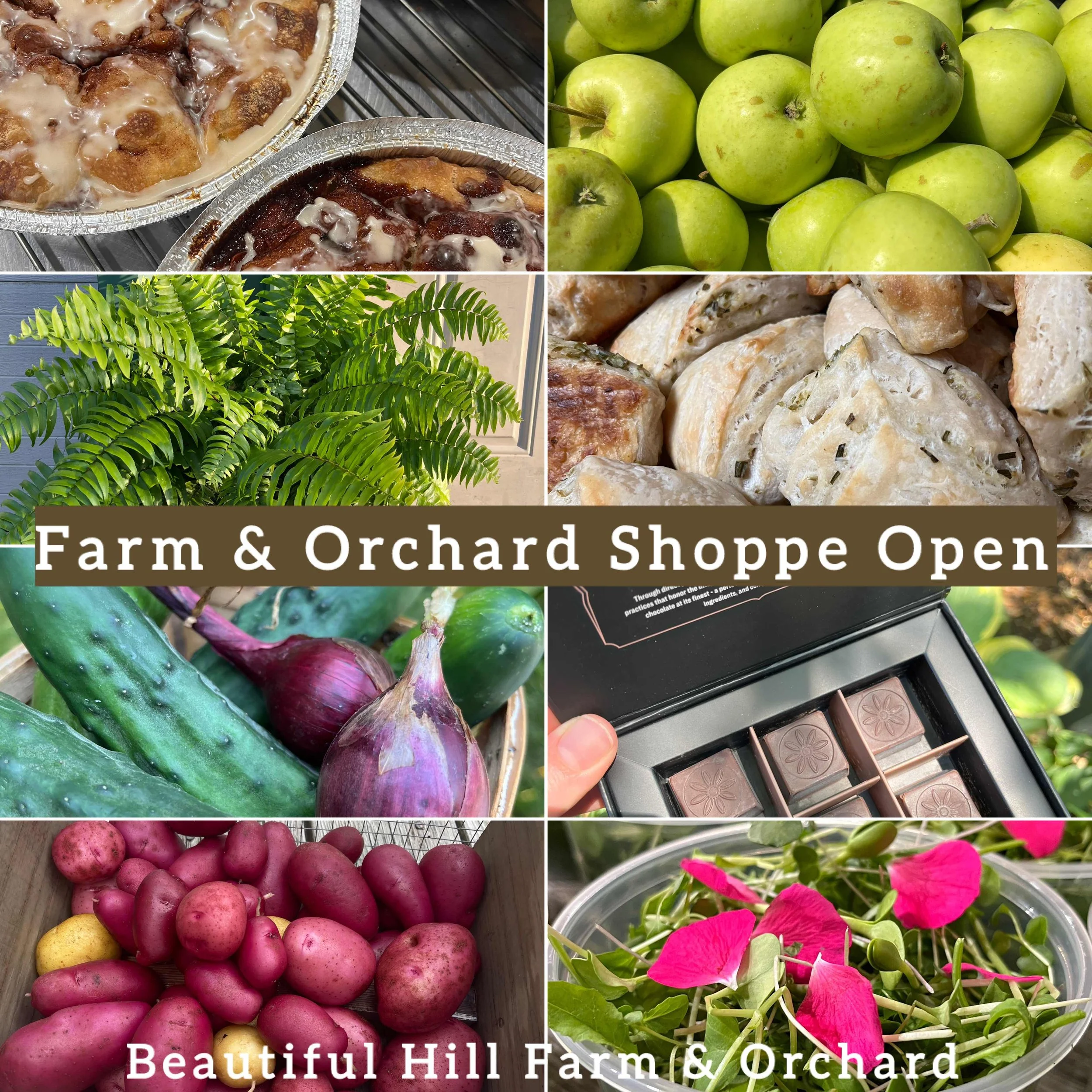 Farm and Orchard Shoppe