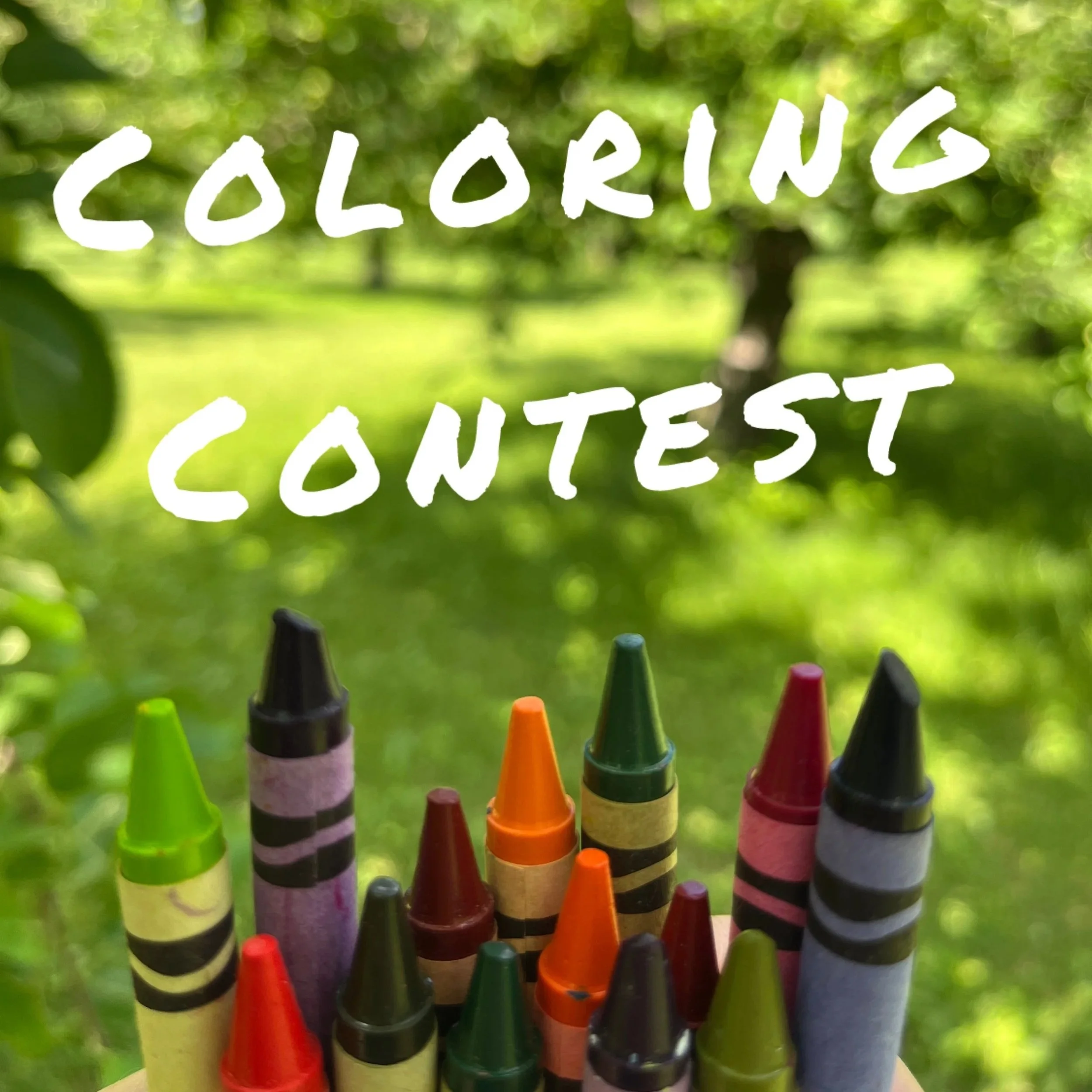Coloring Contest Deadline